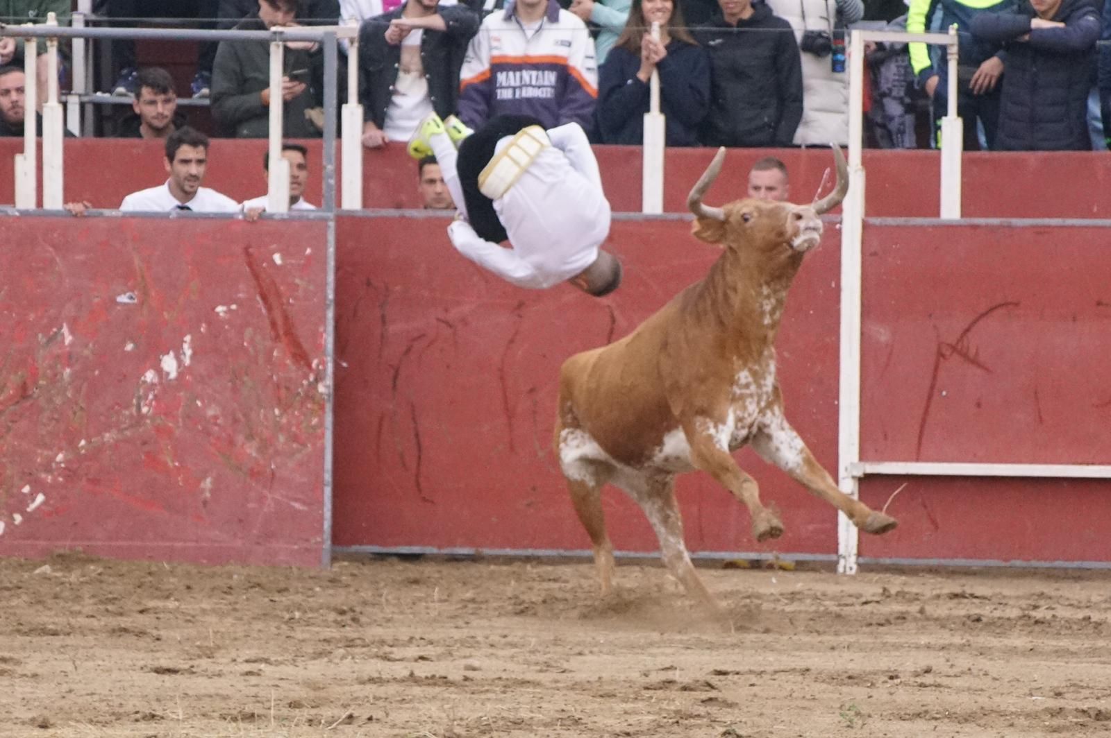 whatsapp-image-2023-05-22-at-20-19-13-1