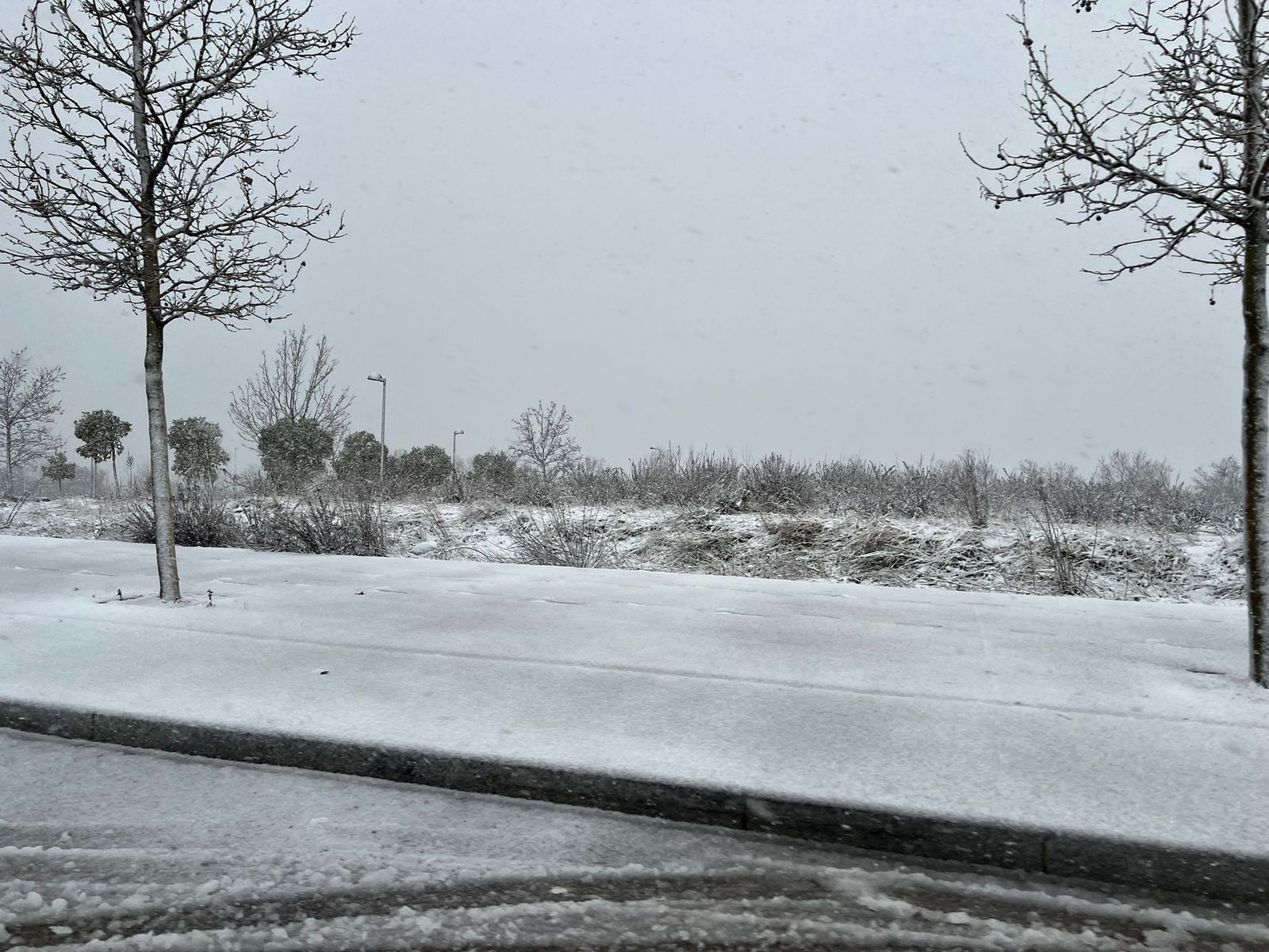 Nevada en Salamanca 28 de enero 2026