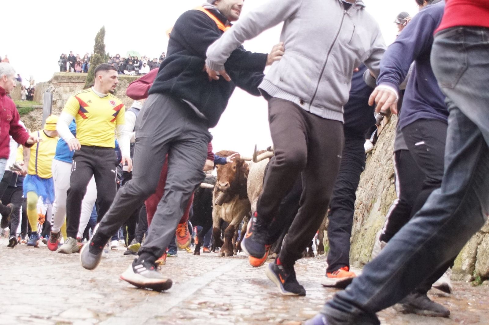 Capea matinal de domingo de carnaval en Ciudad Rodrigo (13).jpeg