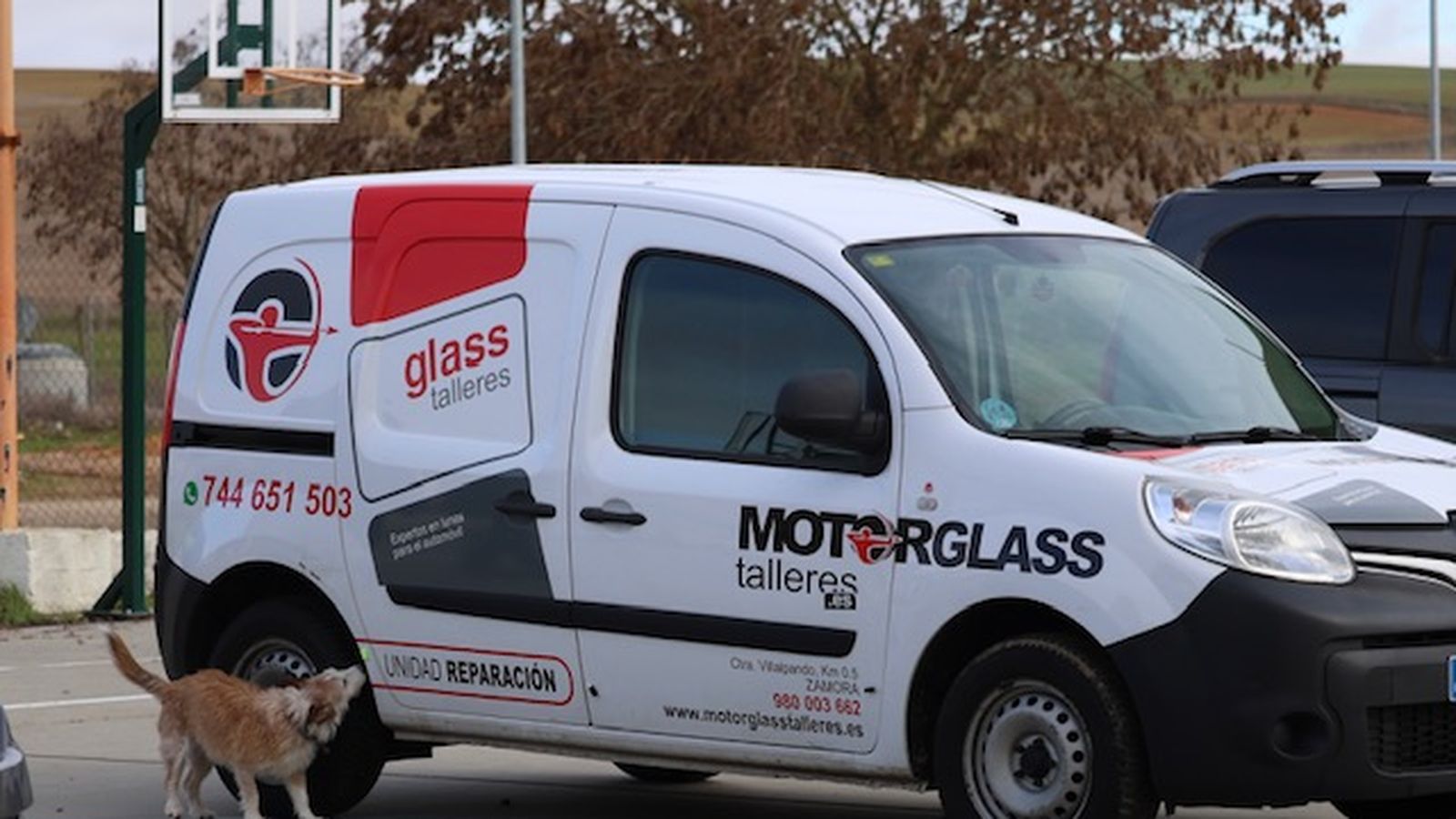 Cañizo reúne a los mejores perros detectores en una prueba puntuable para el Campeonato de España