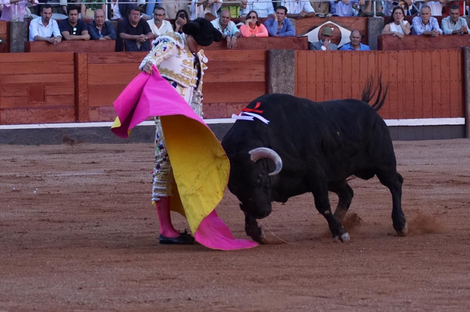 Emilio de Justo, Juan Ortega y Roca Rey inauguran el cartel de figuras en la feria de Salamanca: la corrida de Garcigrande en imágenes