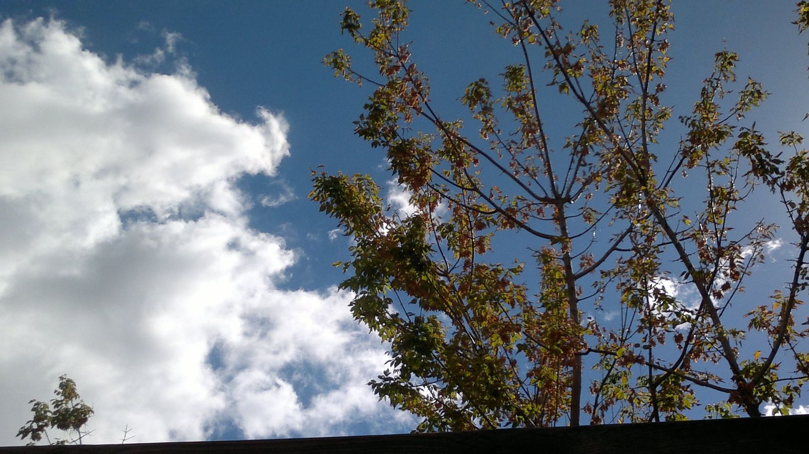 Imagen de archivo: Cielo nuboso y soleado Imagen de archivo: Cielo nuboso y soleado