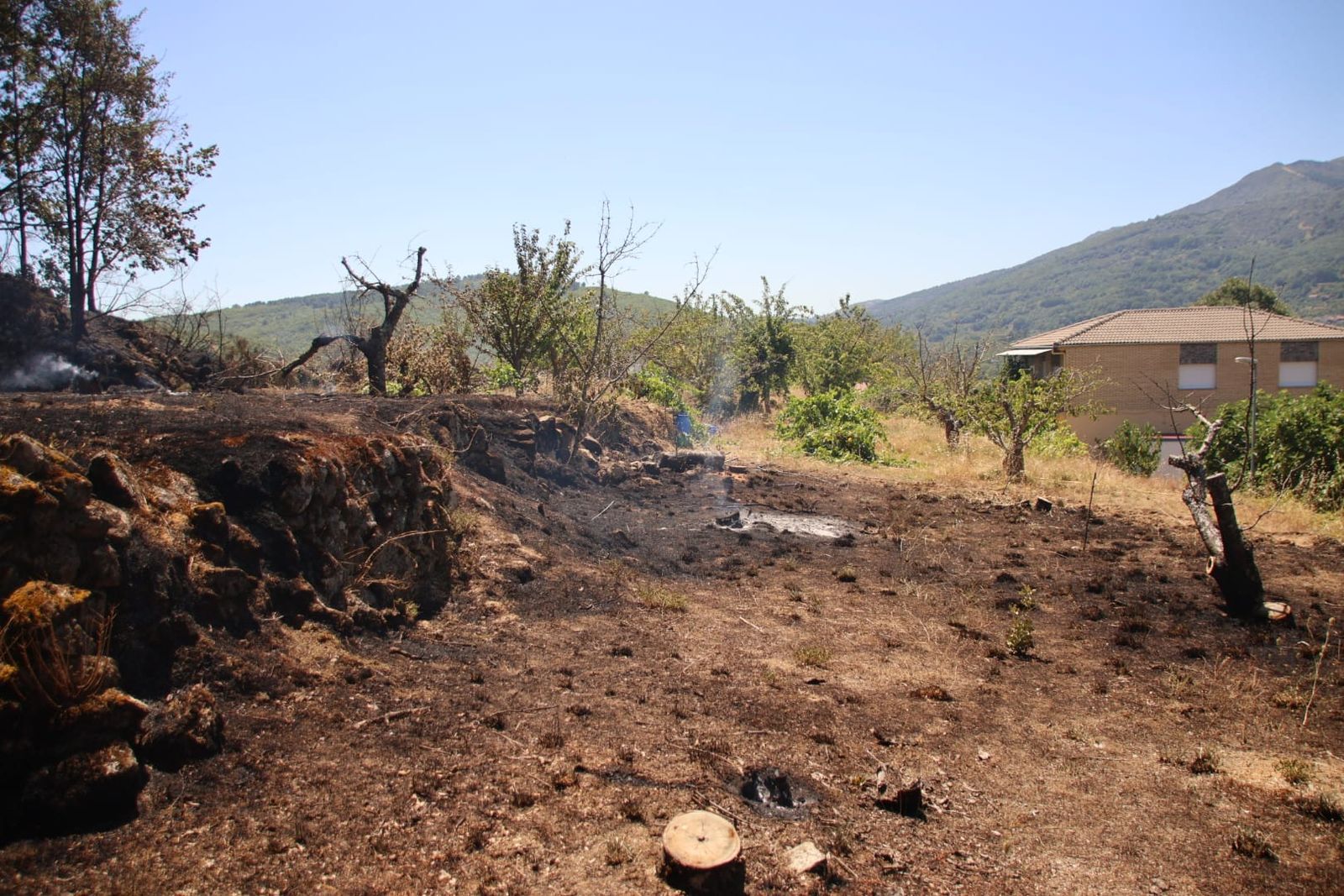 Incendio forestal en Cepeda