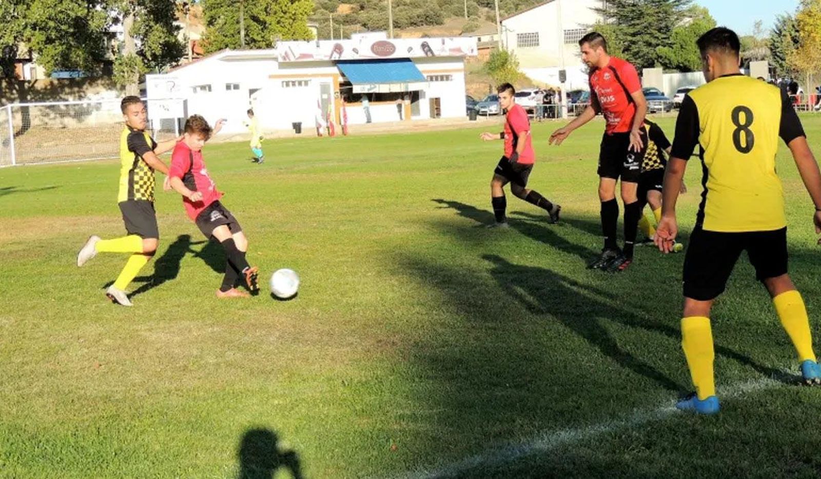 Campo de Camarzana FOTO Benavente Digital