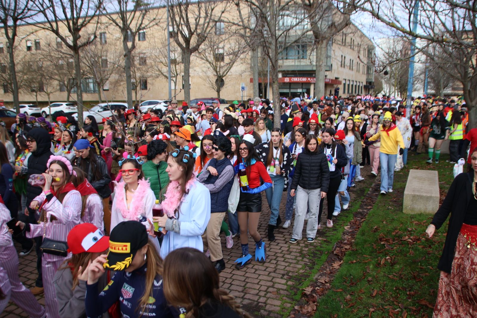 Fiestas Derecho CODEX