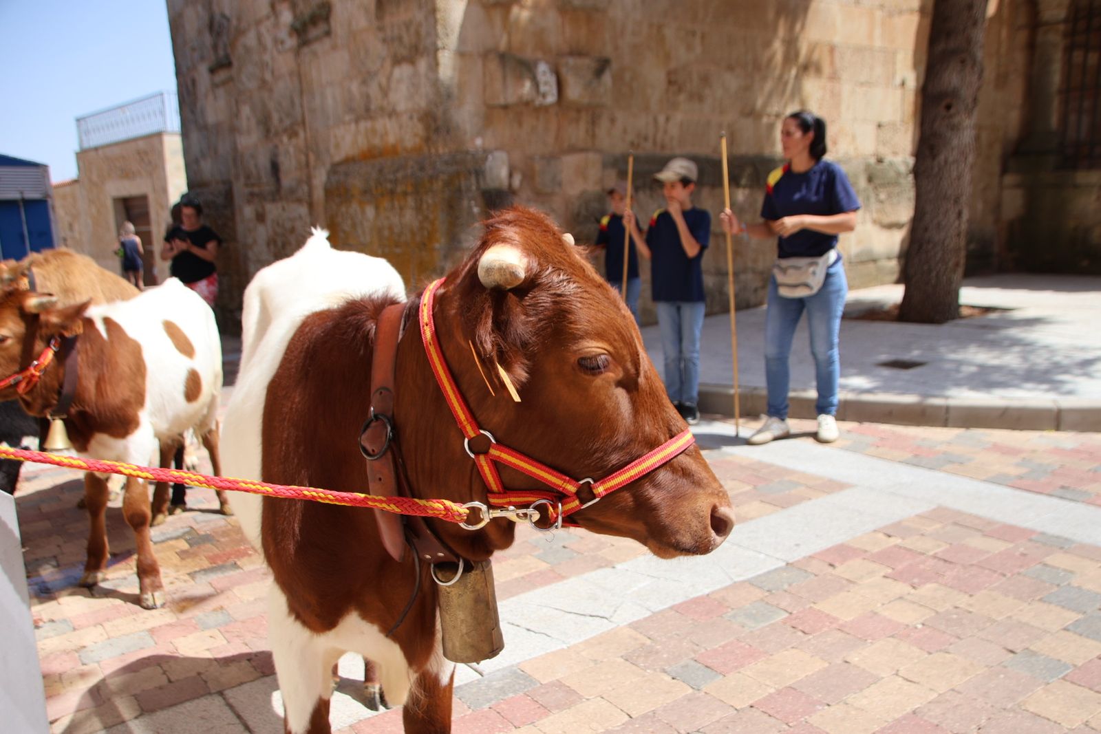 Castellanos de Villiquera, encierro infantil