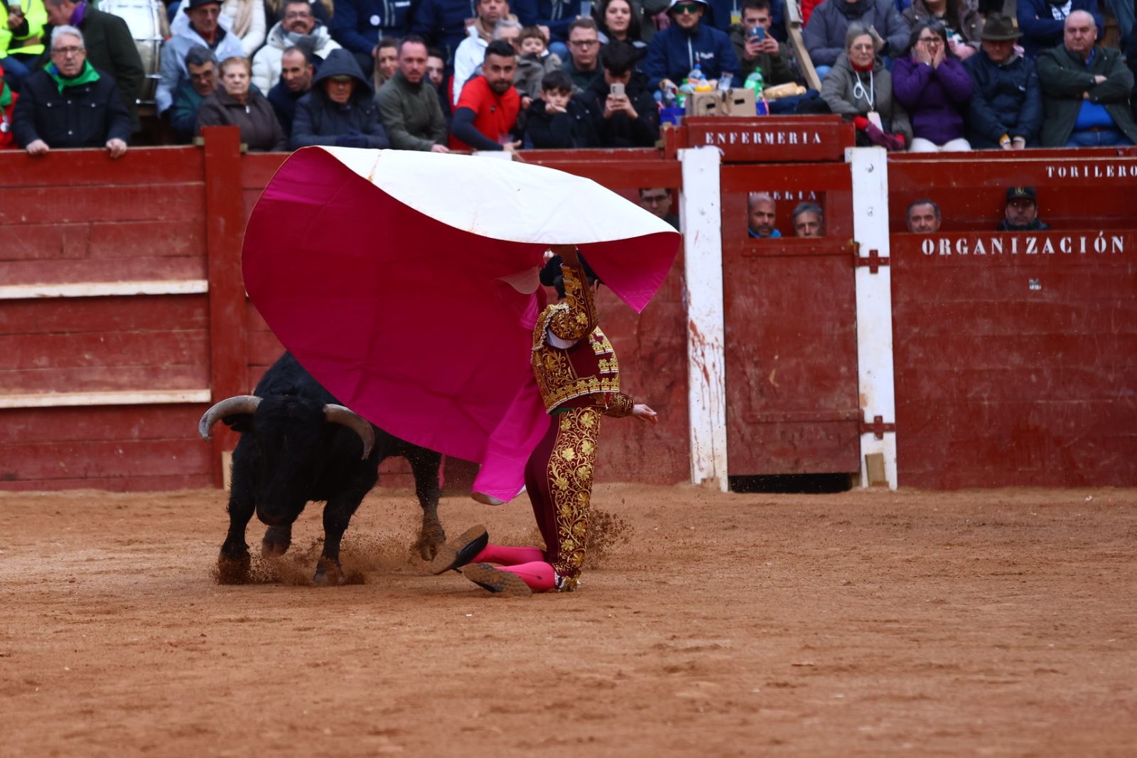 Novillada con picadores de lunes en el Carnaval del Toro de Ciudad Rodrigo 2026