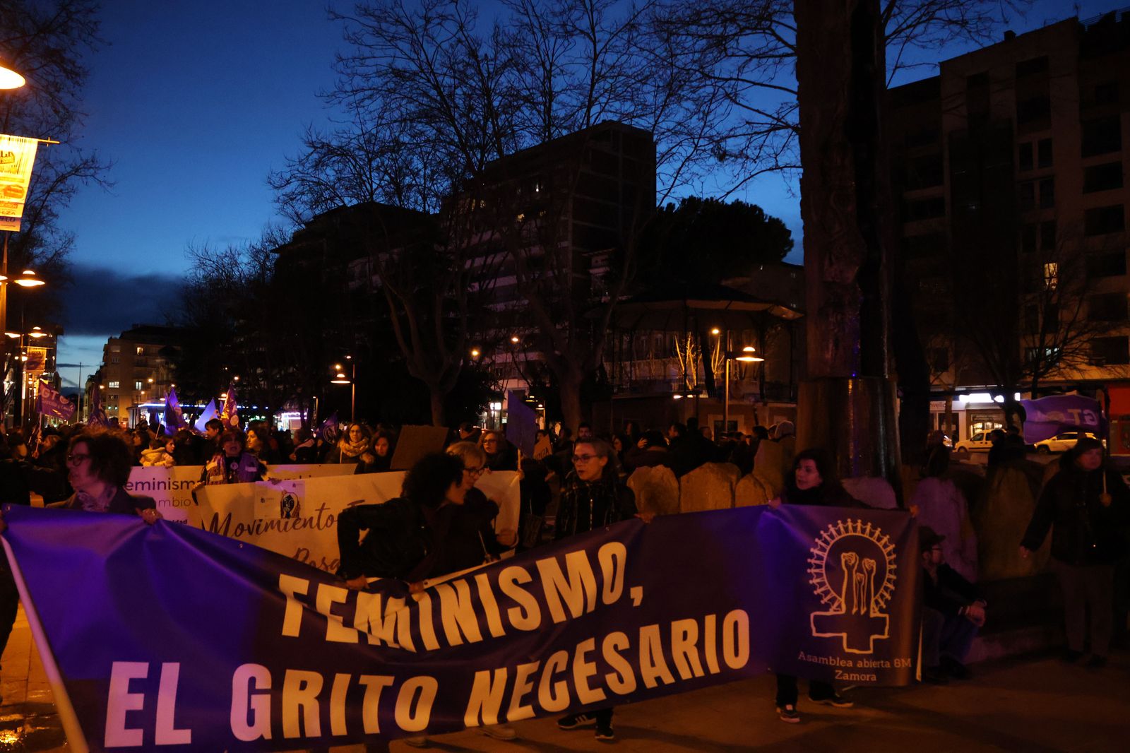 marcha-del-8m-en-zamora-20