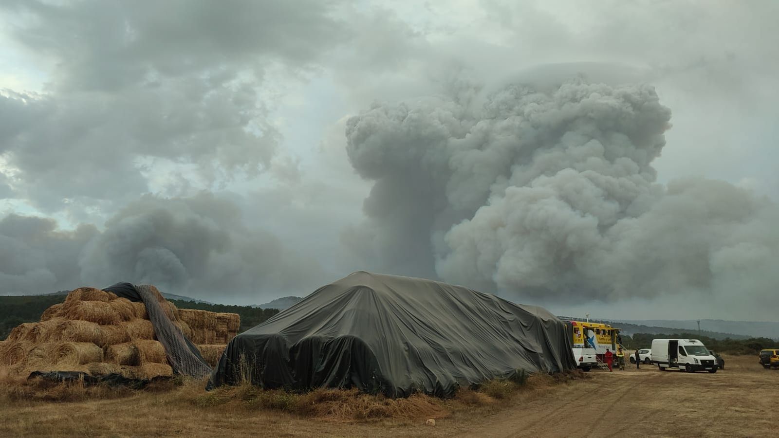 whatsapp-image-2022-06-17-at-9-58-41-pm