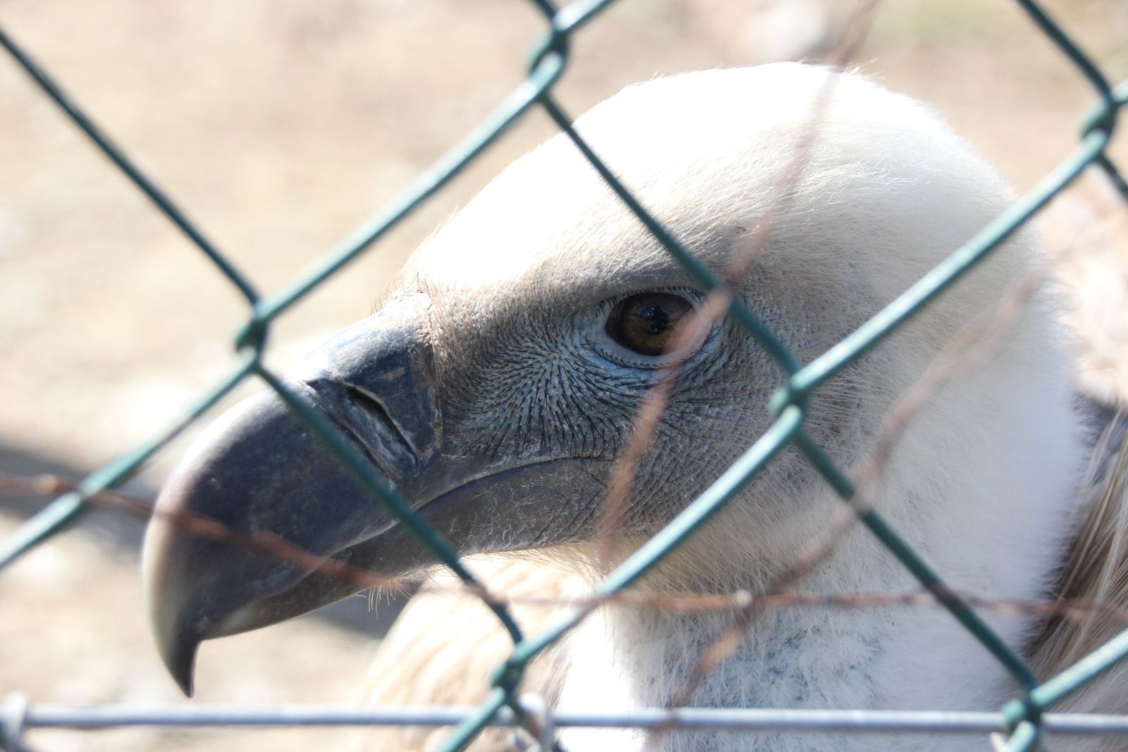 20230304151926-img-1669