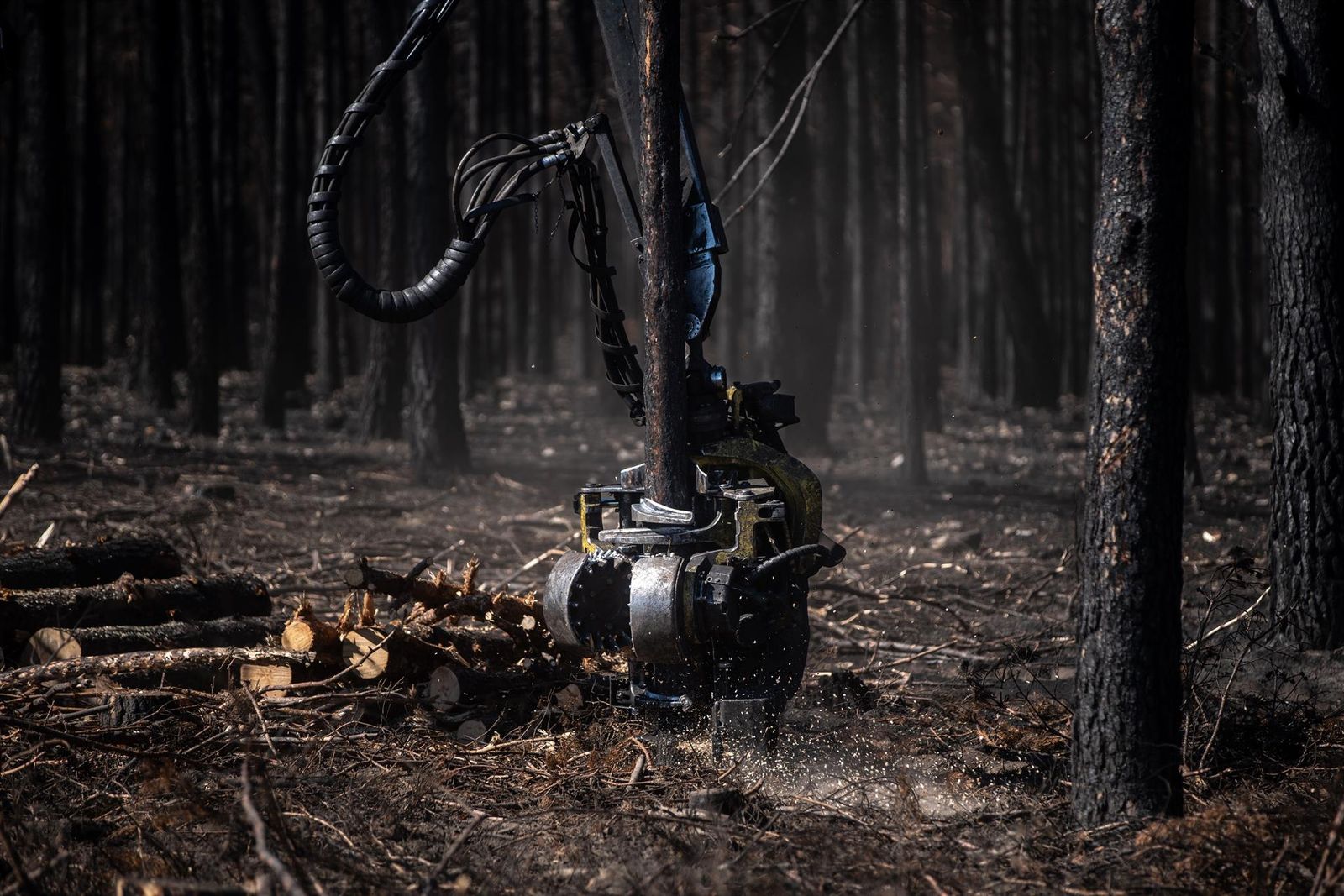 El brazo de un tractor trabaja en las labores de retirada de la leña quemada tras un incendio en Sierra de la Culebra. Archivo