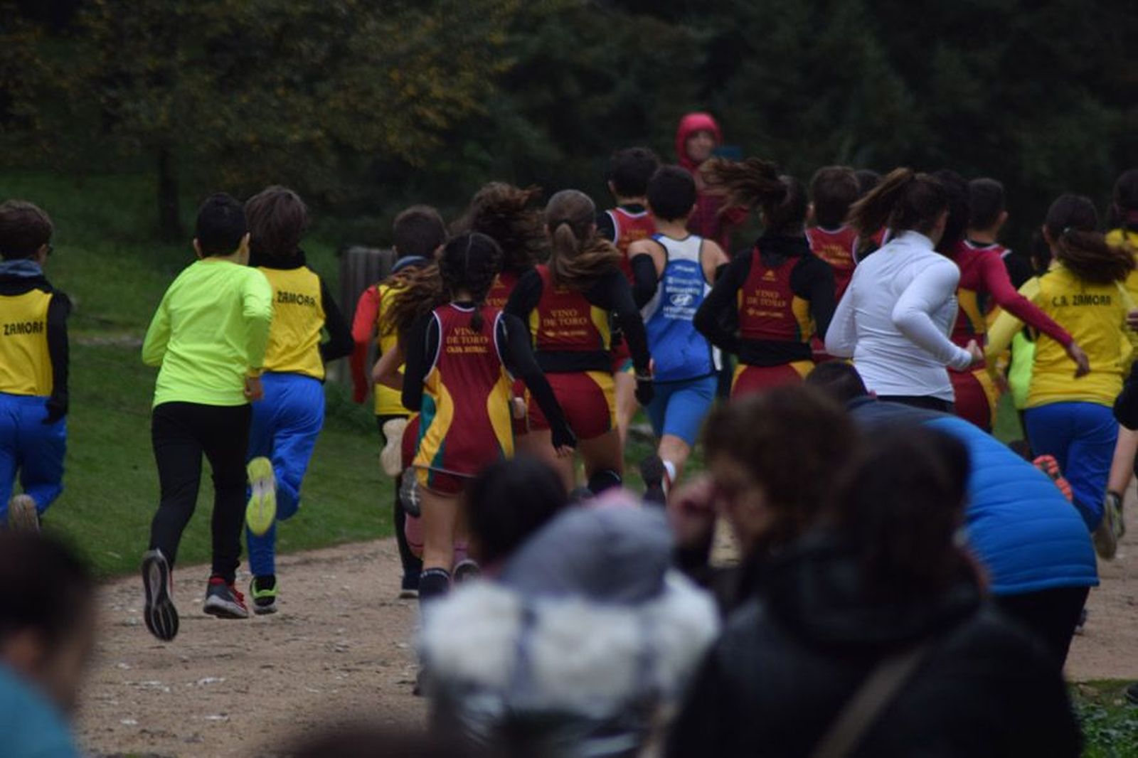 cross-de-otono-en-el-bosque-de-valorio-45