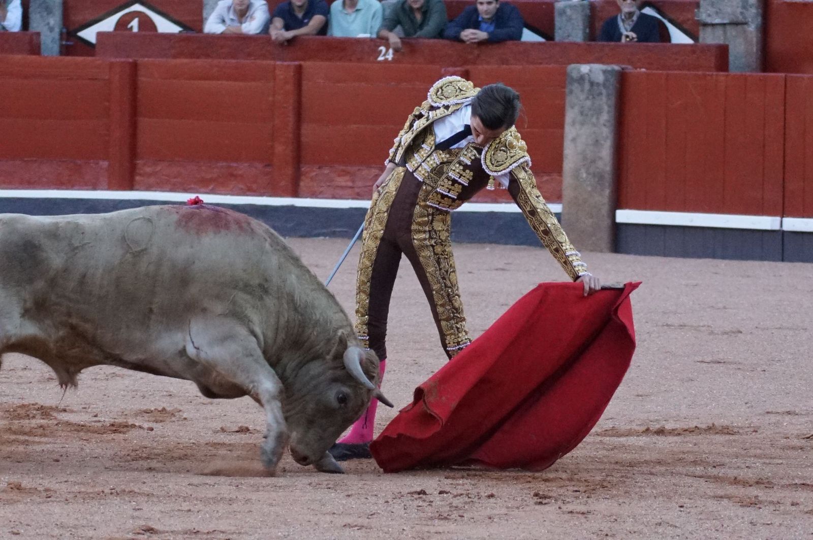 Clase práctica con alumnos de la Escuela de Tauromaquia de Salamanca (Diego Mateos, Noel García y Álvaro Rojo con erales de Esteban Isidro)