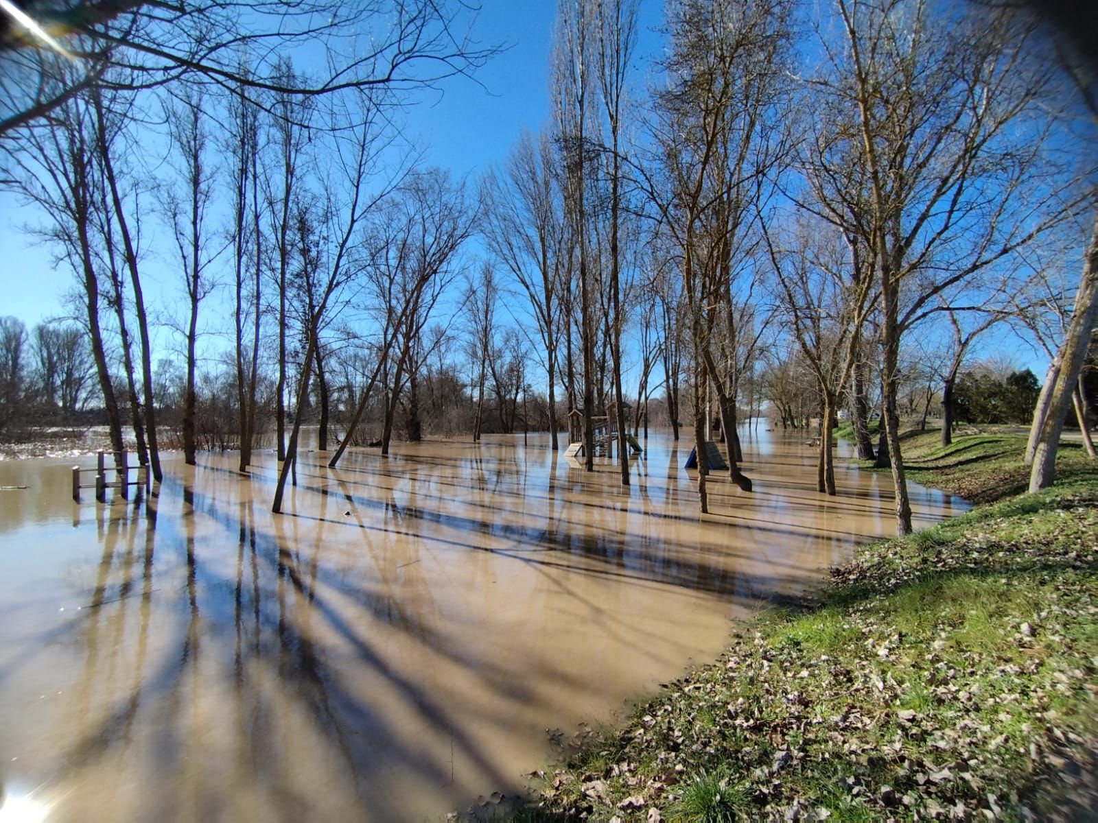 whatsapp-image-2024-01-20-at-13-23-08