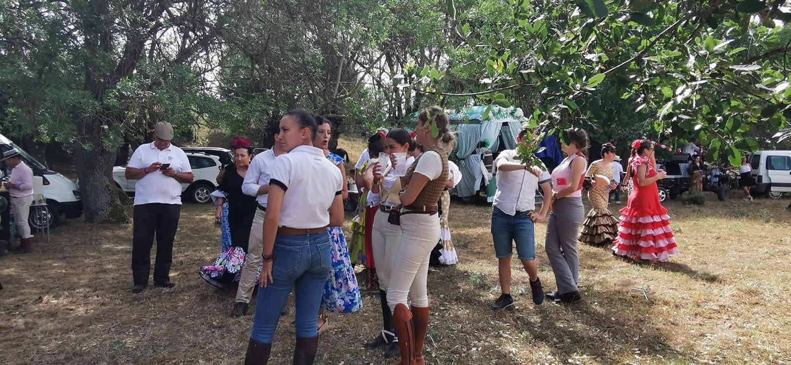 viii-camino-flamenco-entre-zamora-y-andavias-4