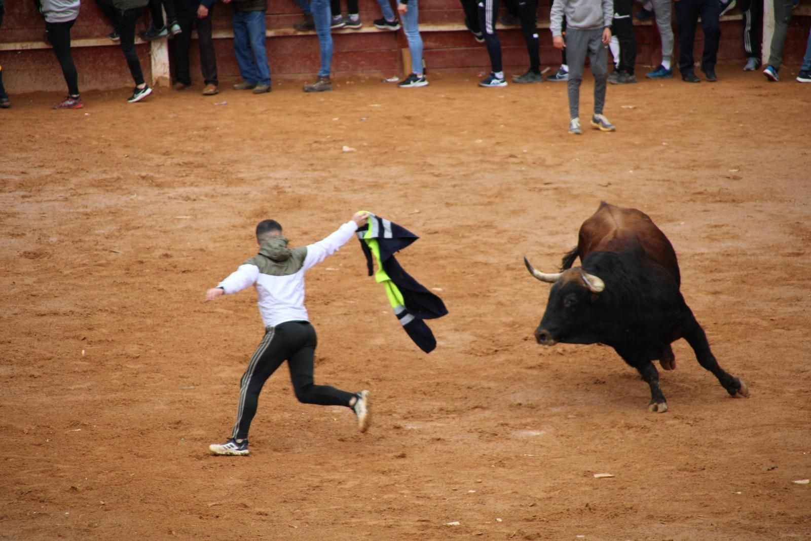 capea-matutina-del-martes-de-carnaval-19