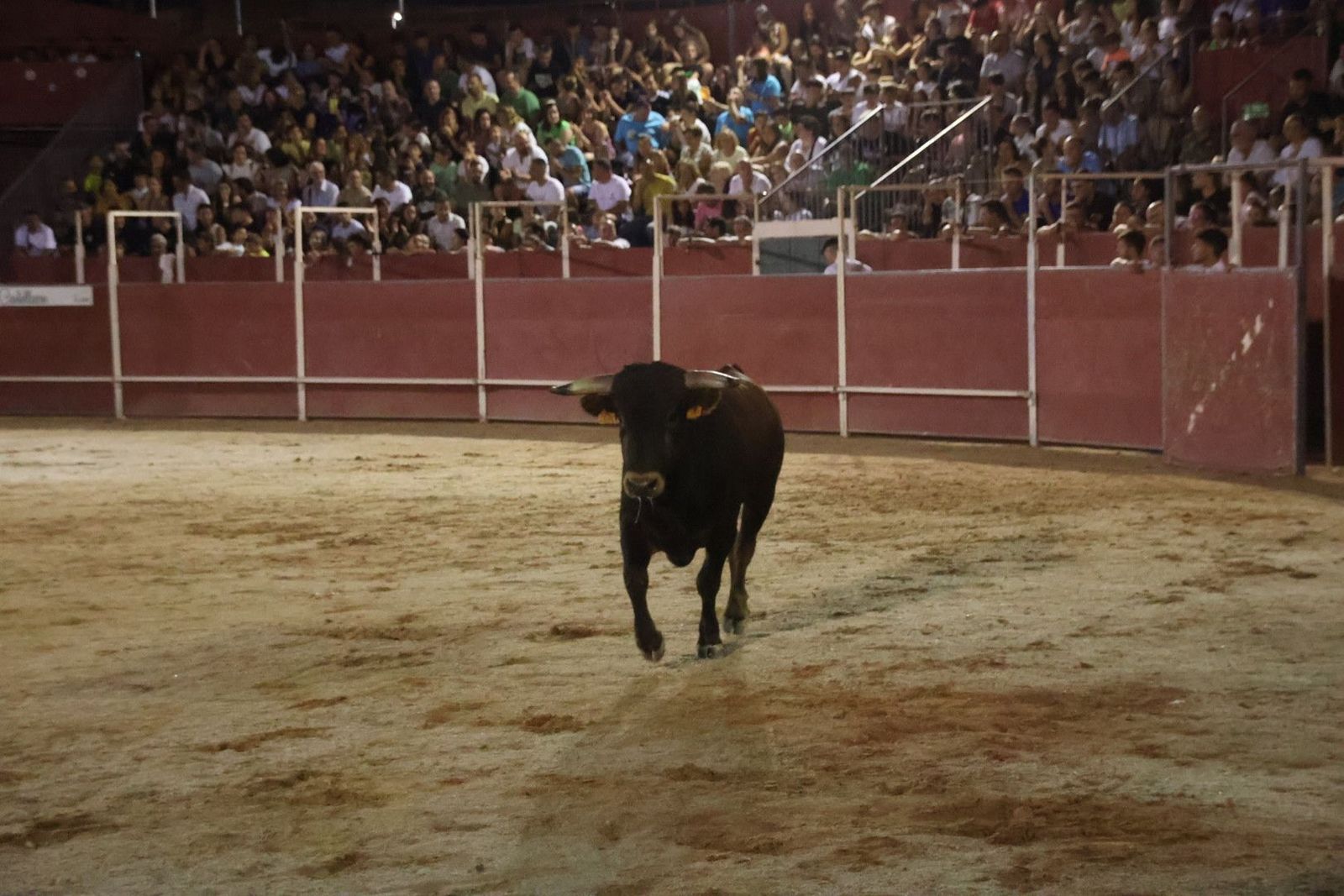 20230814214554-img-2144