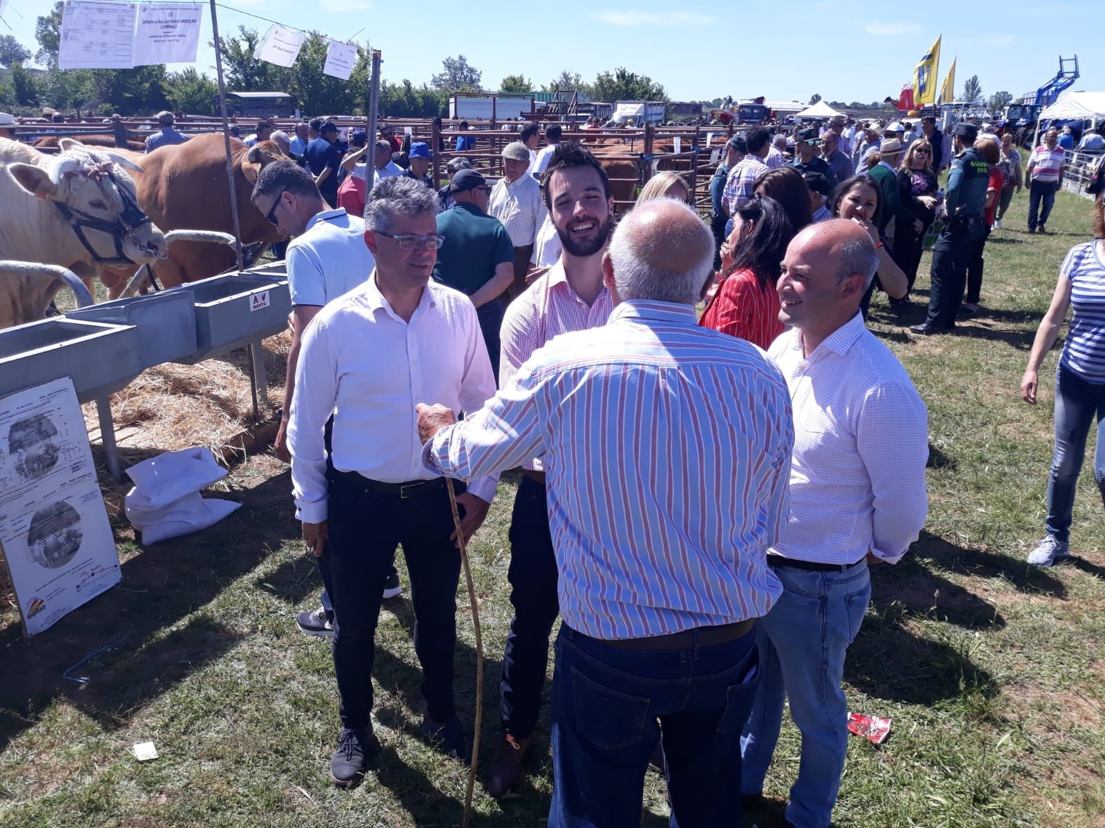 Lumbrales III 15 5 19