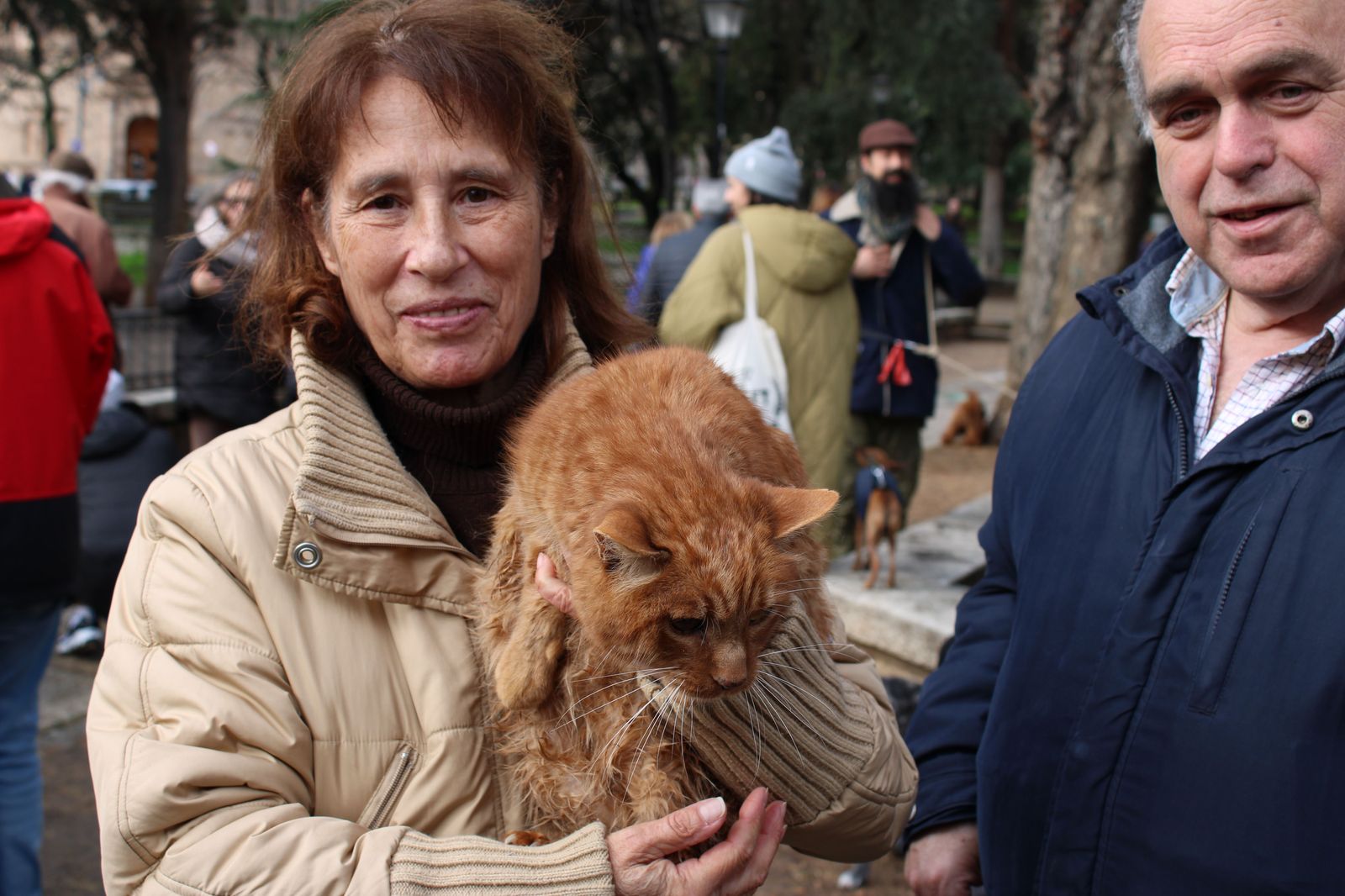 san-anton-bendicion-de-animales-2024-foto-s24h-97