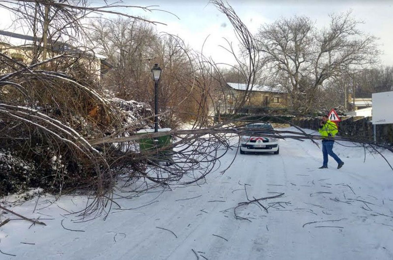 Caida arbol pedrazales