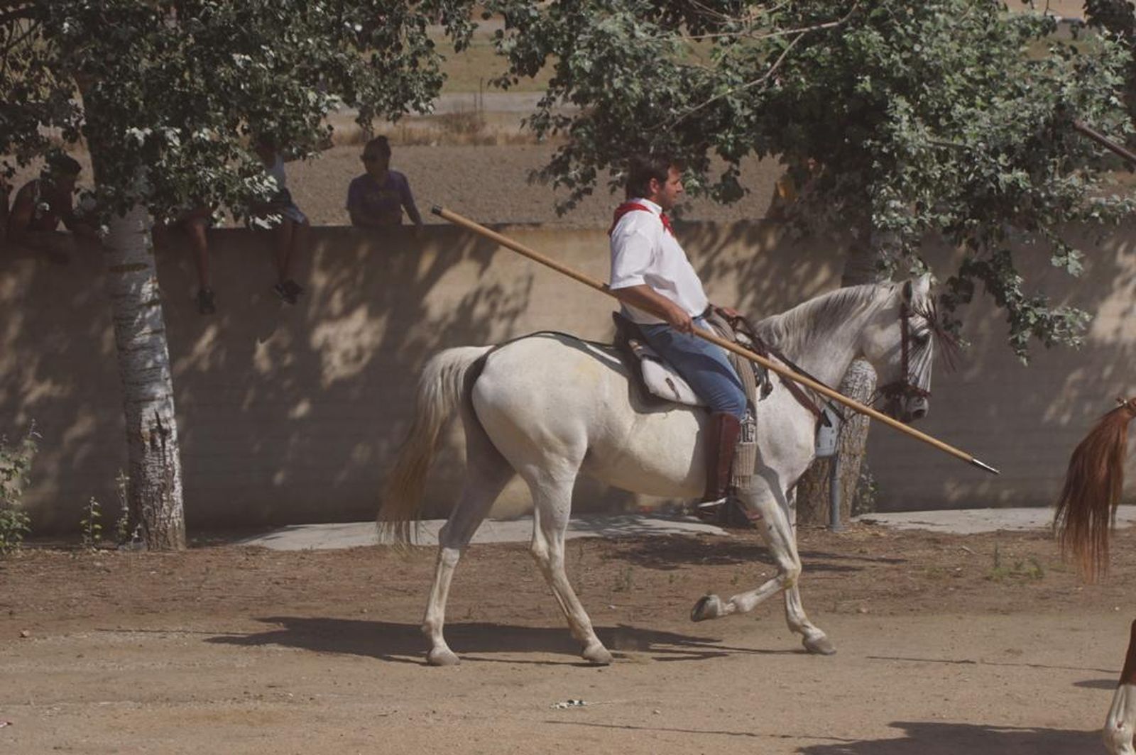 espantes-de-fuentesauco-52