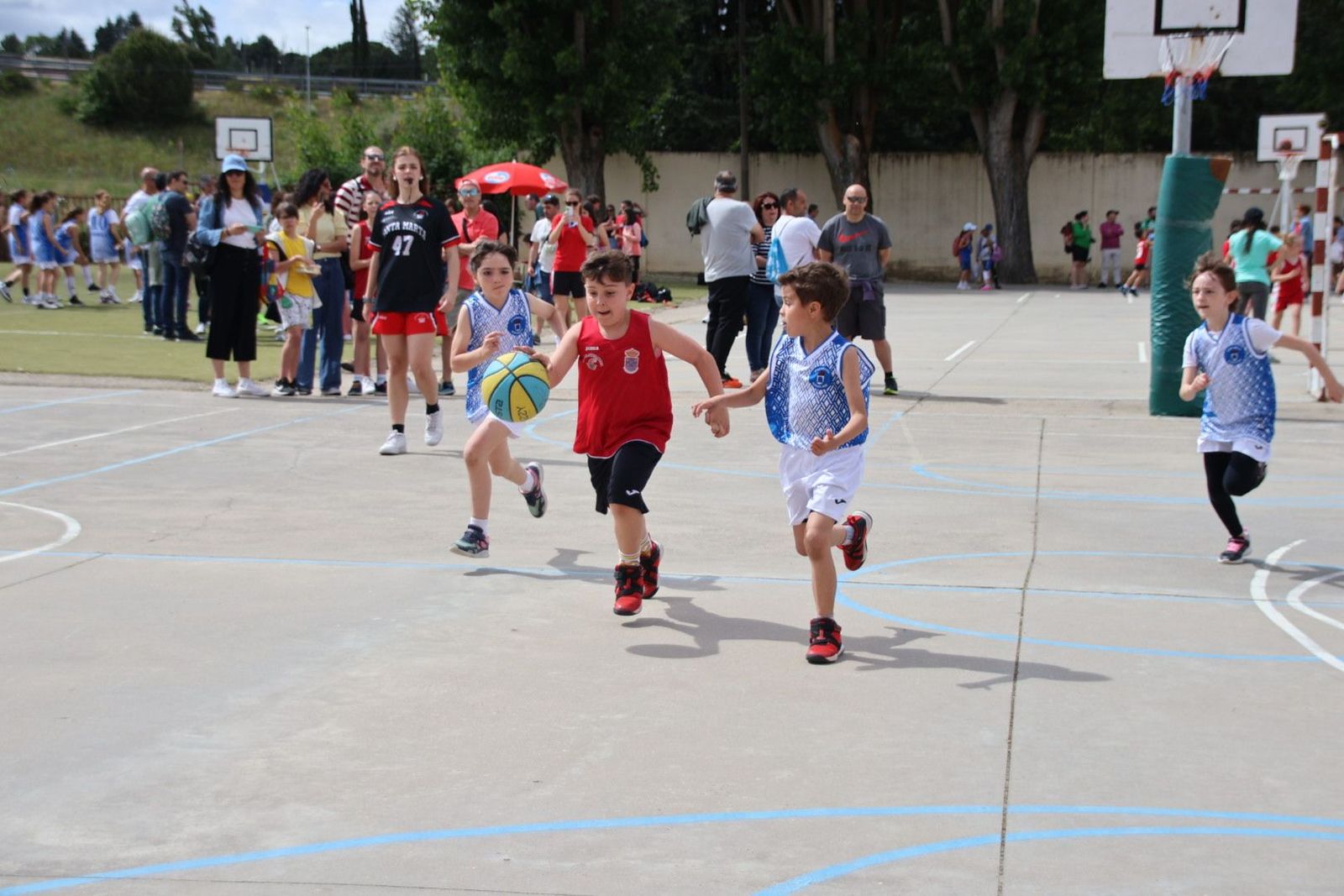 20240526110034-img-2551