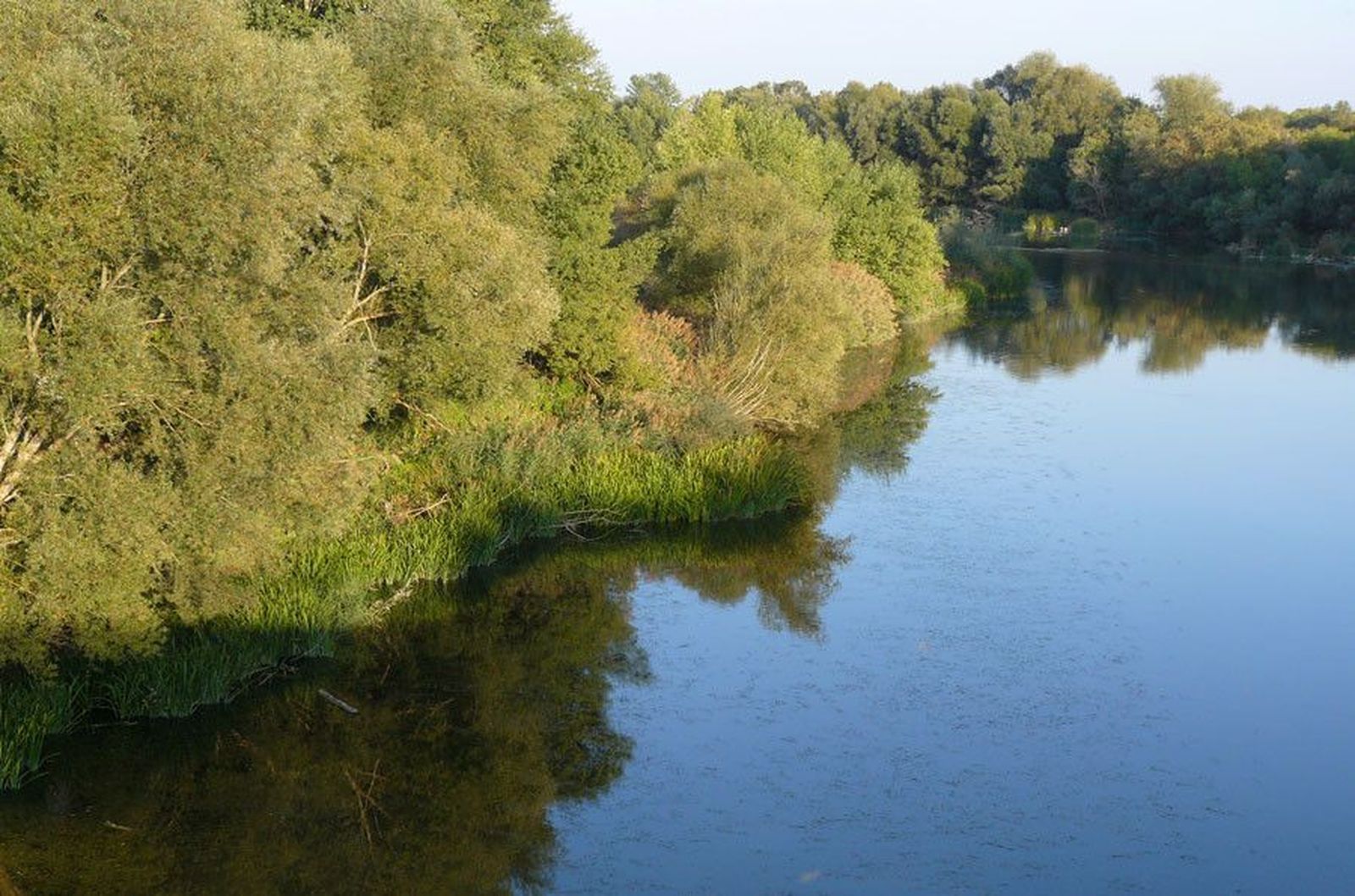 Rio Duero y bosque de ribera entre Toro y Zamora