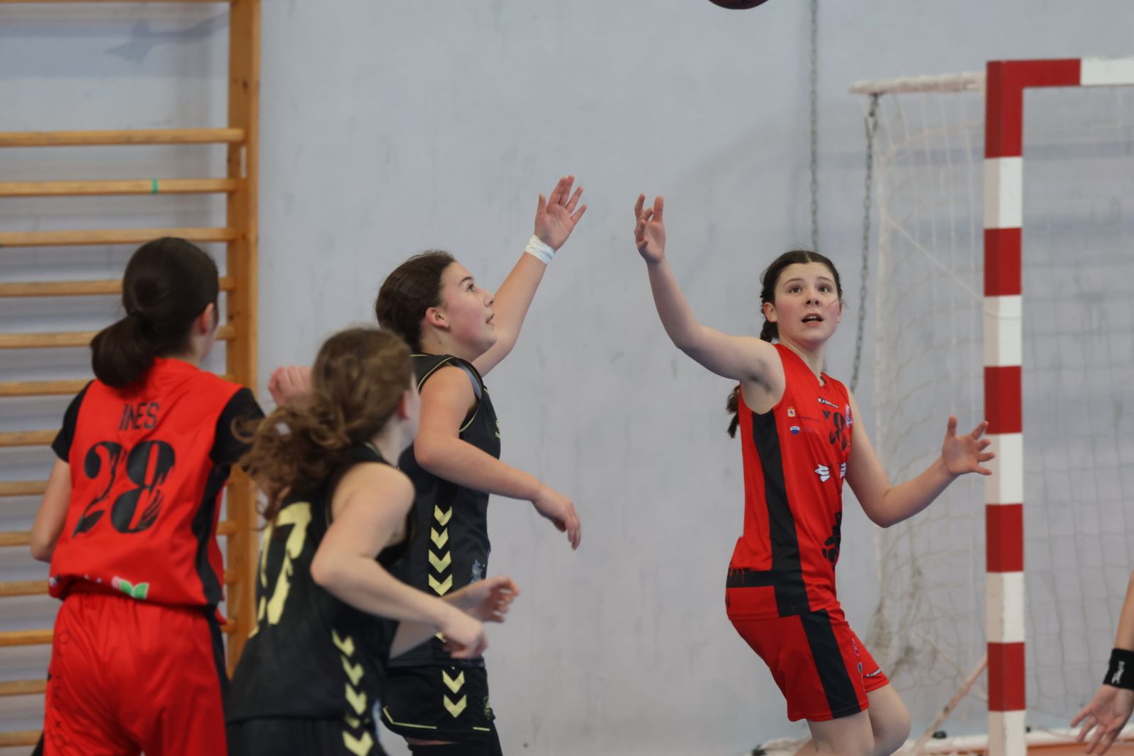 Liga Autonómica de Minibasket