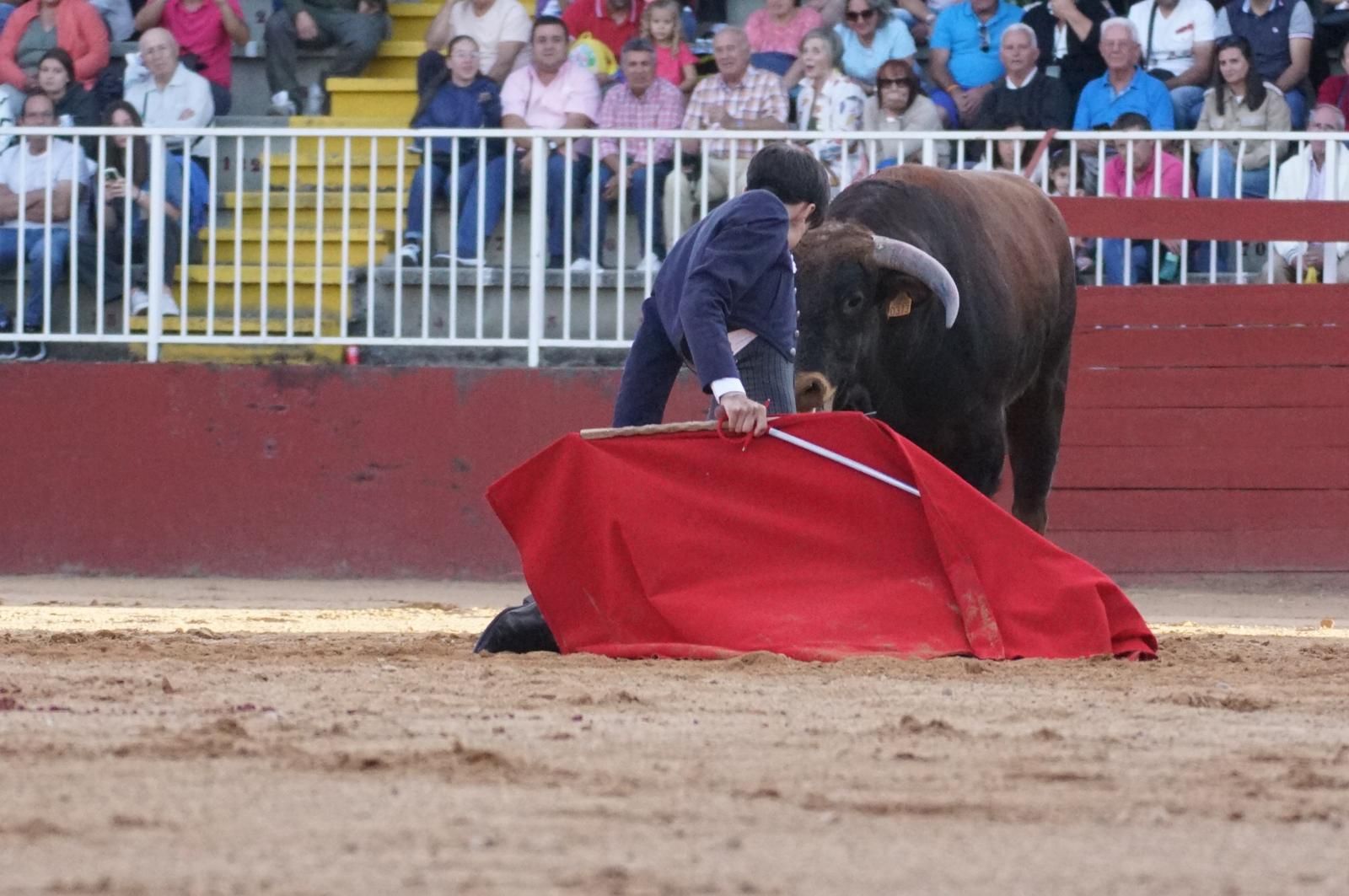 whatsapp-image-2024-09-07-at-20-49-23-2