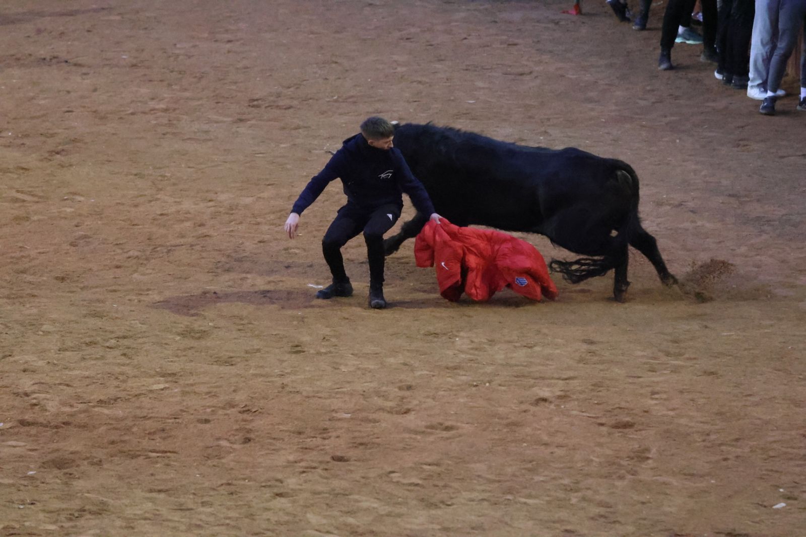 Capea y desencierro de domingo tarde en el Carnaval del Toro 2026