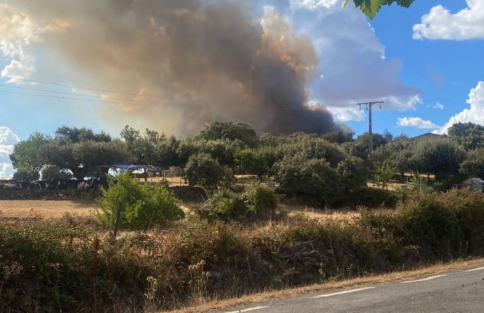 Incendio en Cilleros de la Bastida