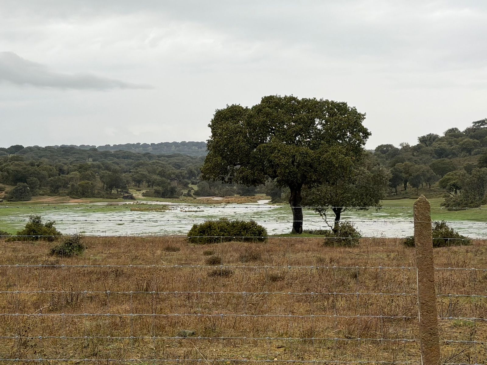 Granizo en Mozárbaz