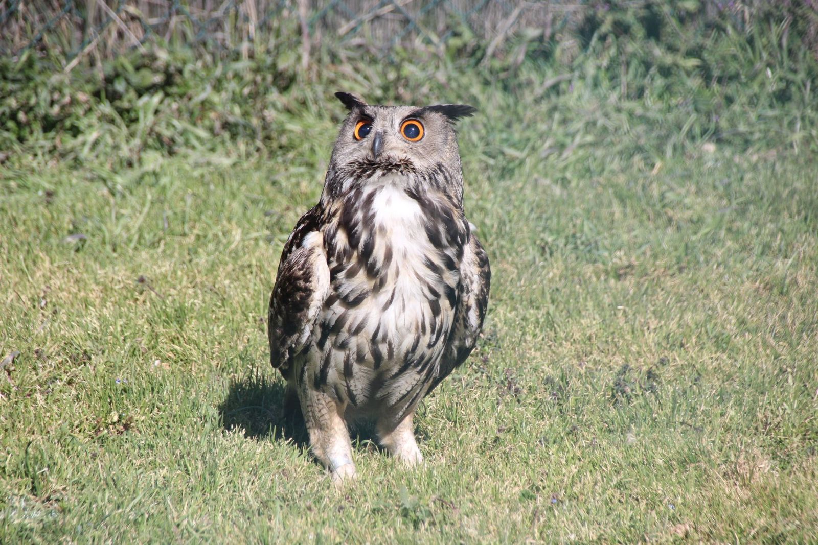 20230304152856-img-1687