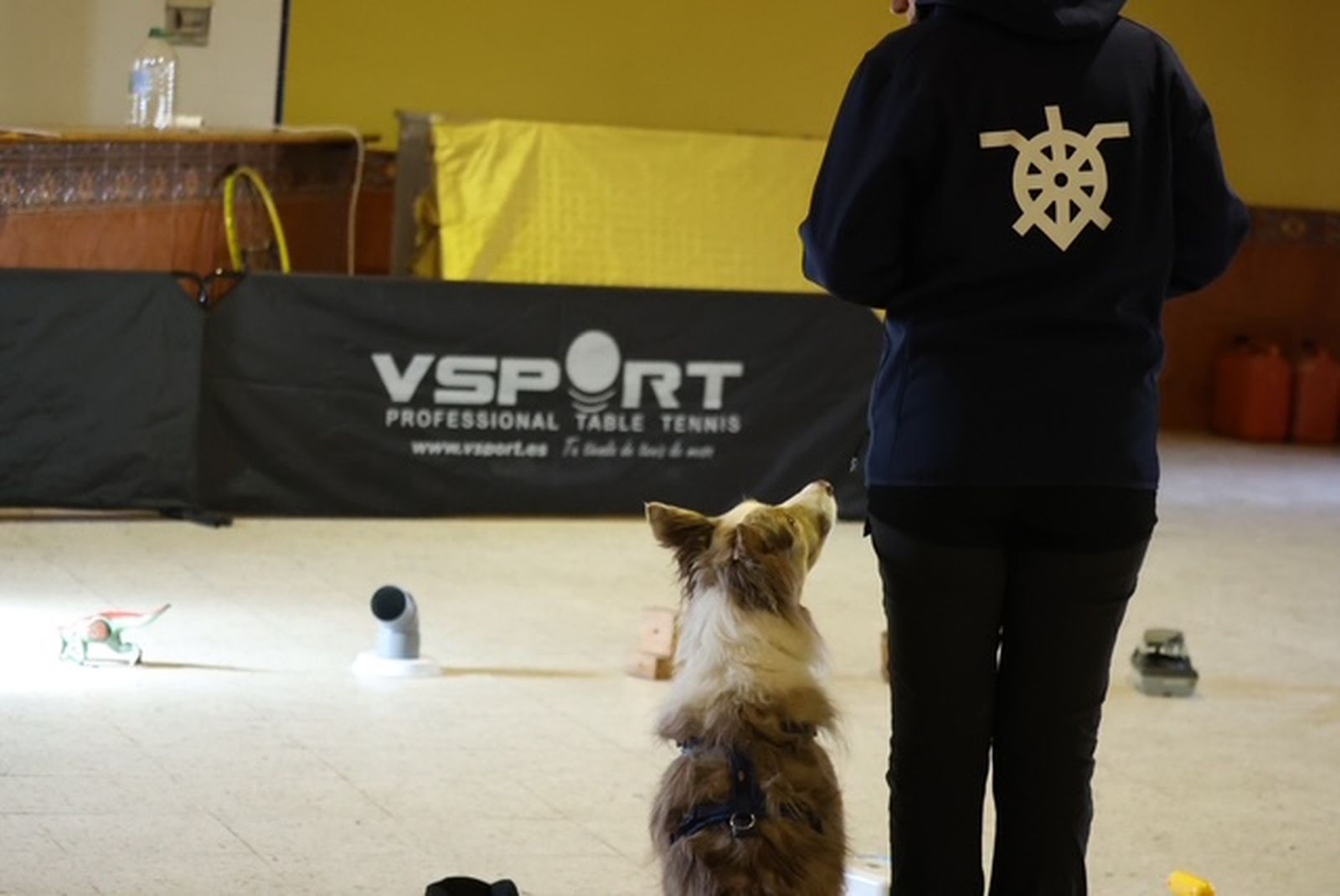 Cañizo reúne a los mejores perros detectores en una prueba puntuable para el Campeonato de España