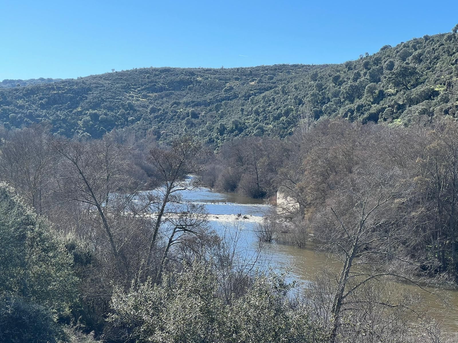 whatsapp-image-2024-01-20-at-13-54-54