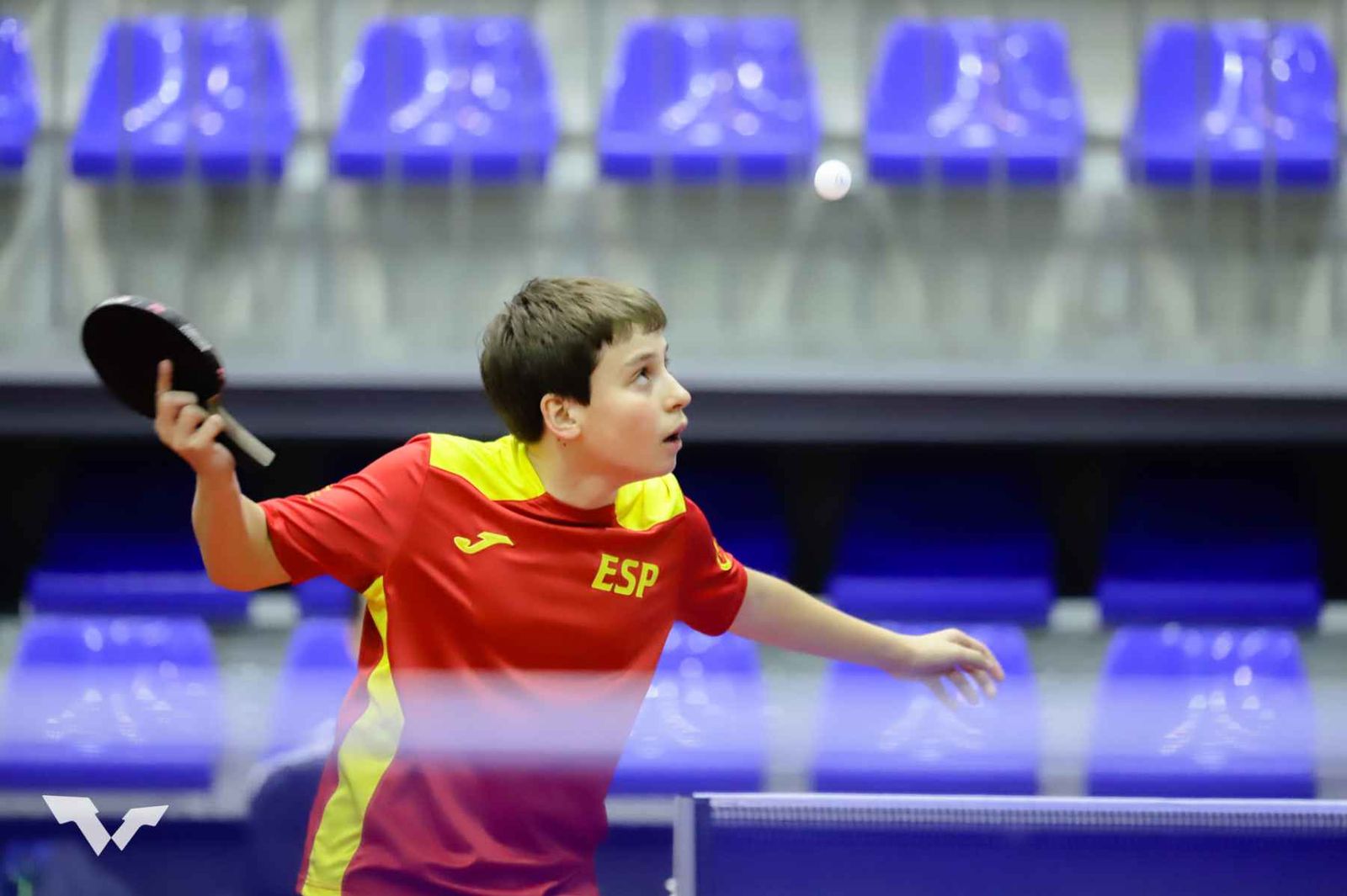 REAL FEDERACIÓN ESPAÑOLA DE TENIS DE MESA