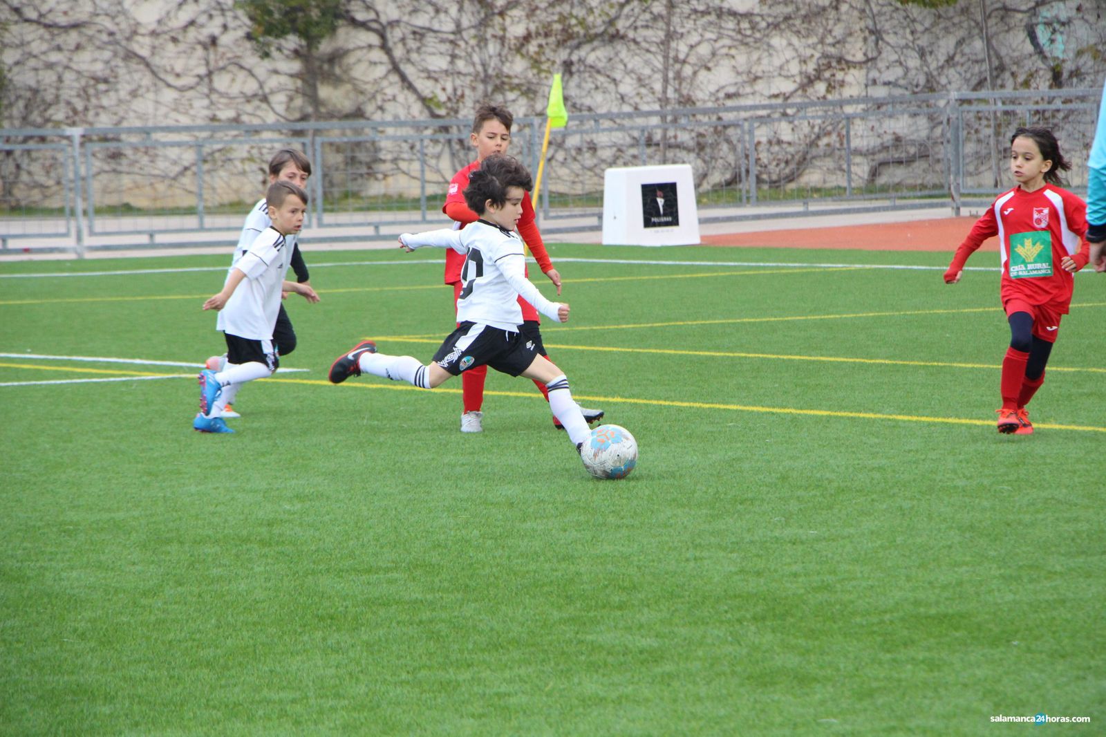 Fútbol base prebenjamin (29 02 2020) (5)