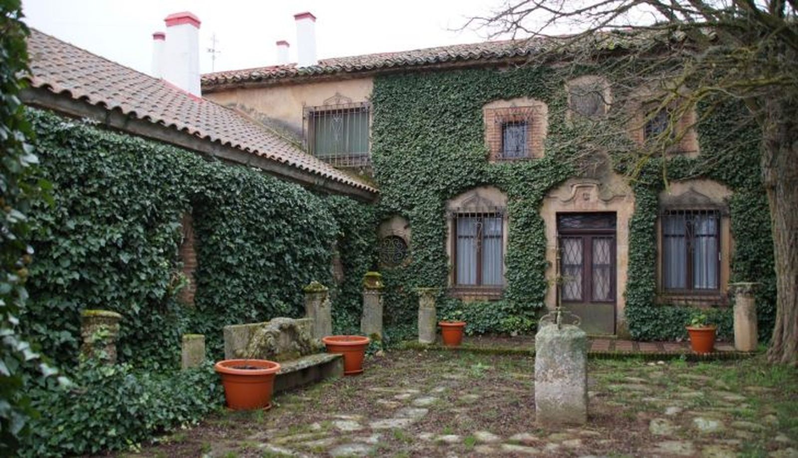 Ganadería Herederos de Ángel Sánchez y Sánchez (30)