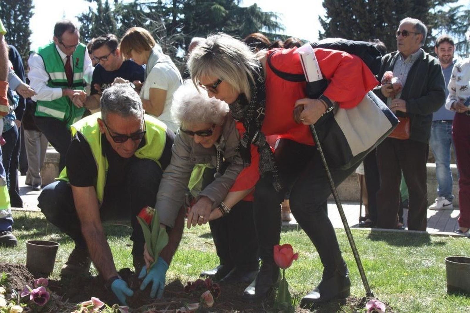 Siembra de tulipanes a favor de los enfermos de Parkinson en el Campo San Francisco