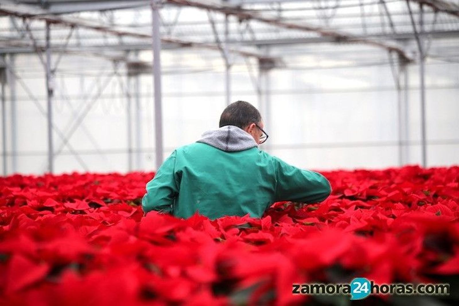 La Diputación destina 228.000€ a convenios sociales con una decena de asociaciones locales