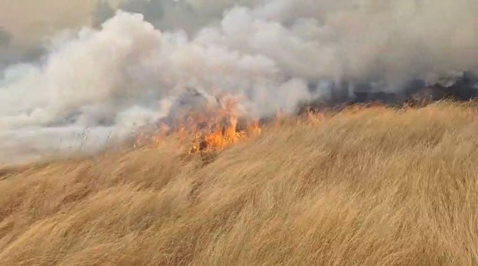 Incendio de nivel 1 en Moronta