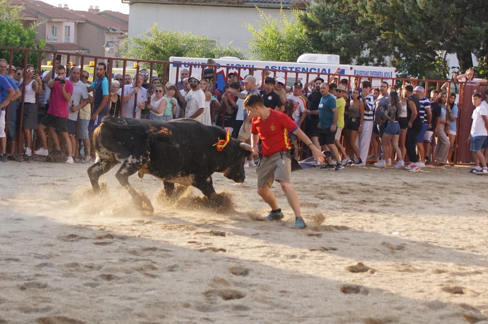 Pasión, tradición y calle: así se ha vivido en Ledesma el II Toro de Cajón