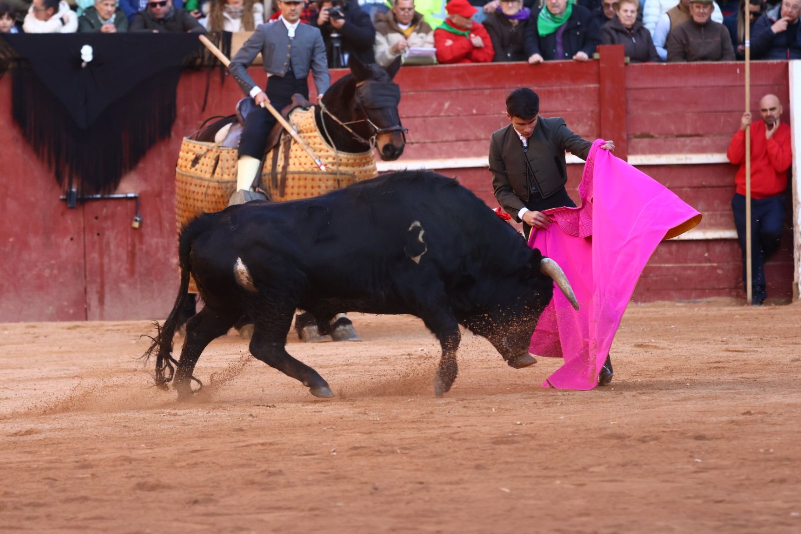 Festival del martes en el Carnaval del Toro 2026