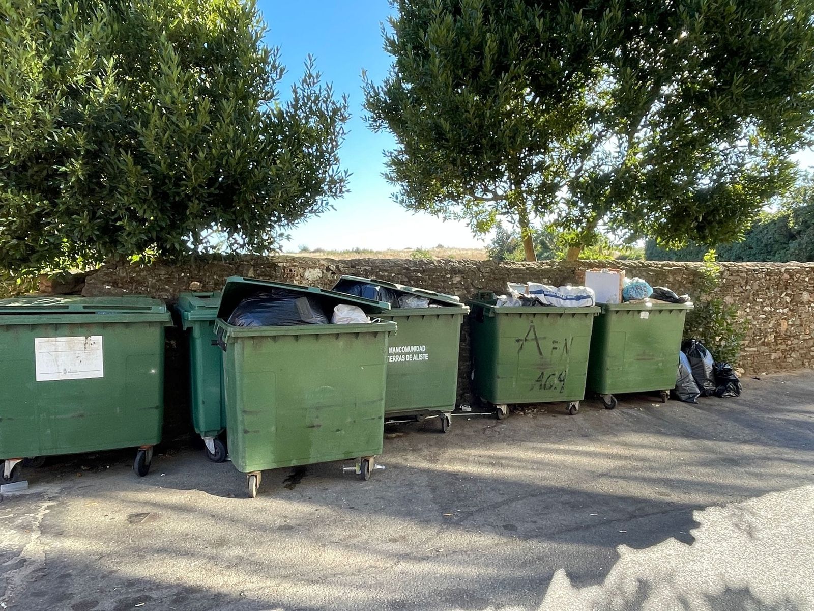 Contenedores en una localidad zamorana. Archivo