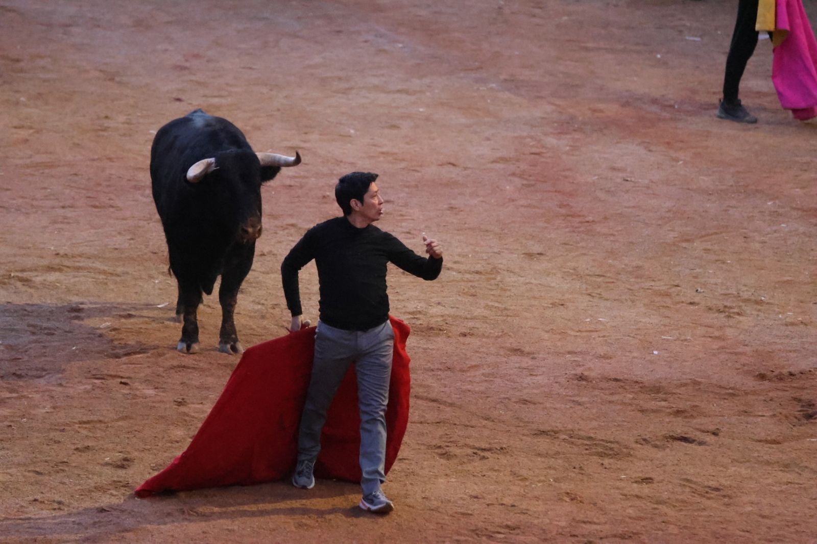 Capea de Sábado tarde en el Carnaval del Toro de Ciudad Rodrigo