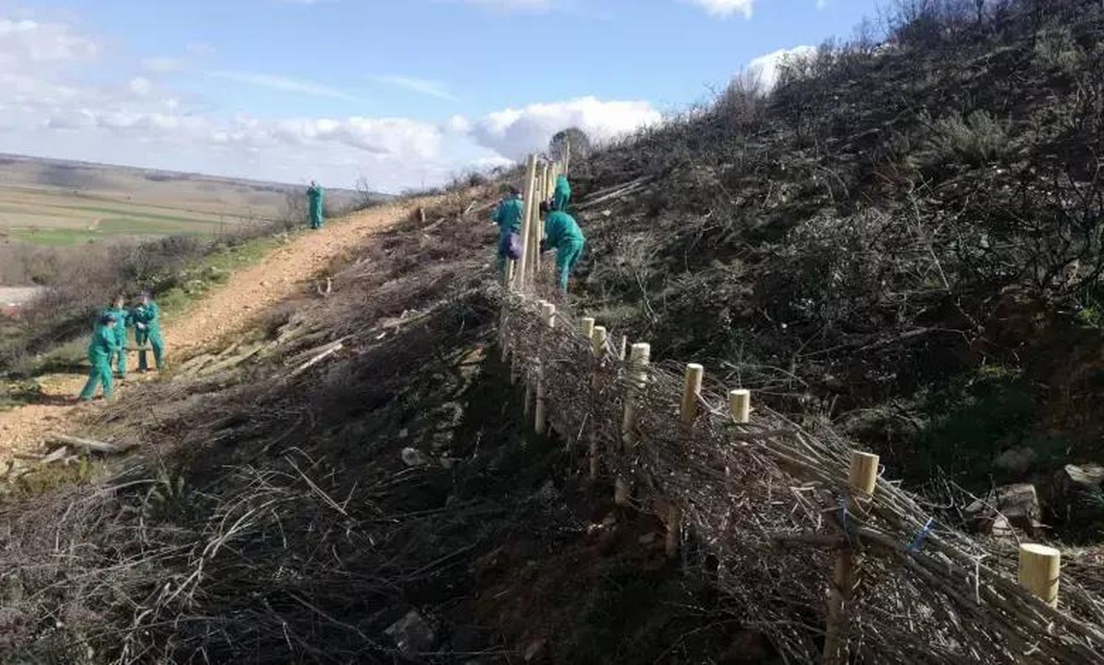 Plan Forestal de Empleo