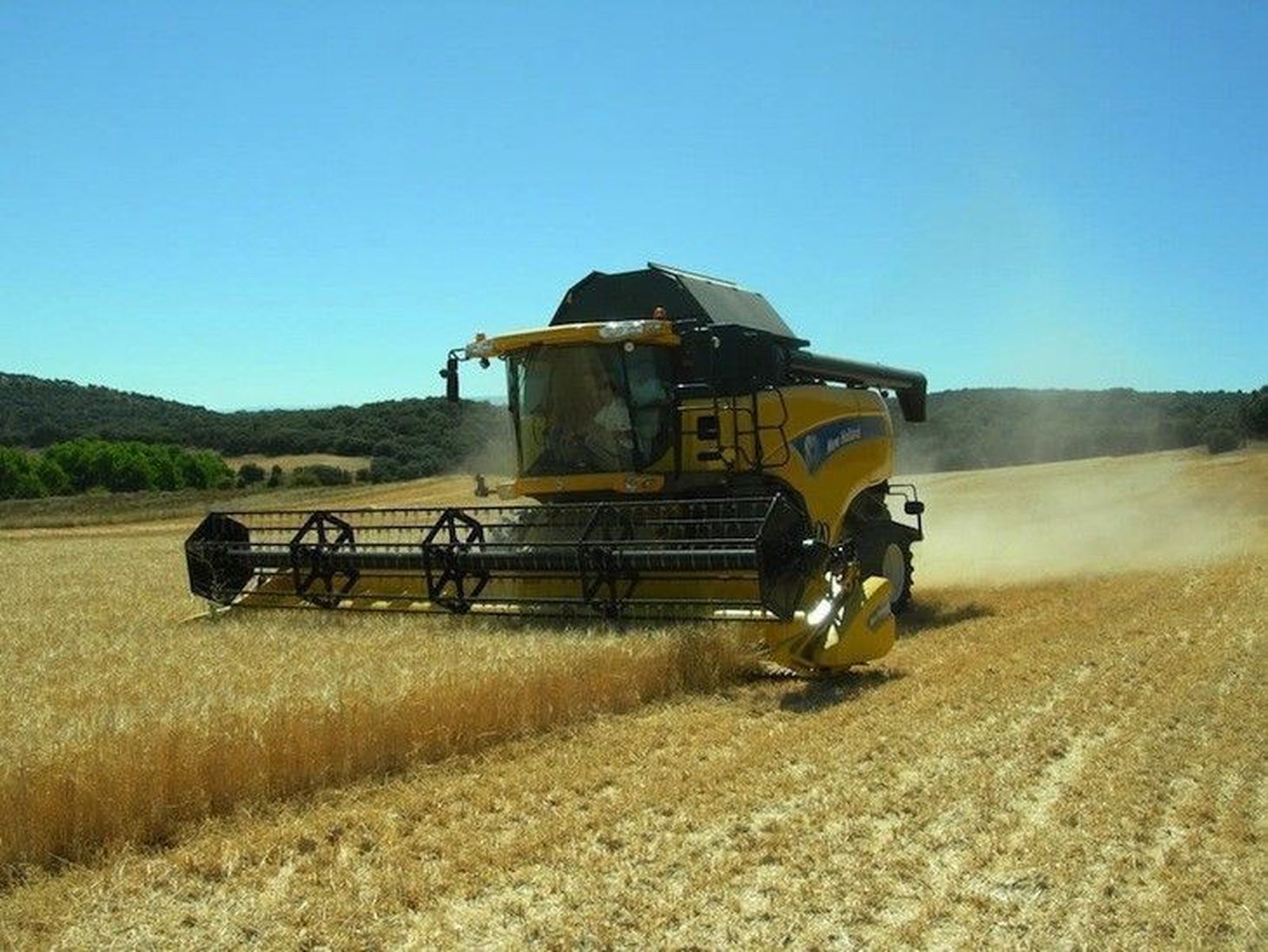 La nueva PAC permitirá apoyar las explotaciones que mantienen viva la actividad agrícola y ganadera