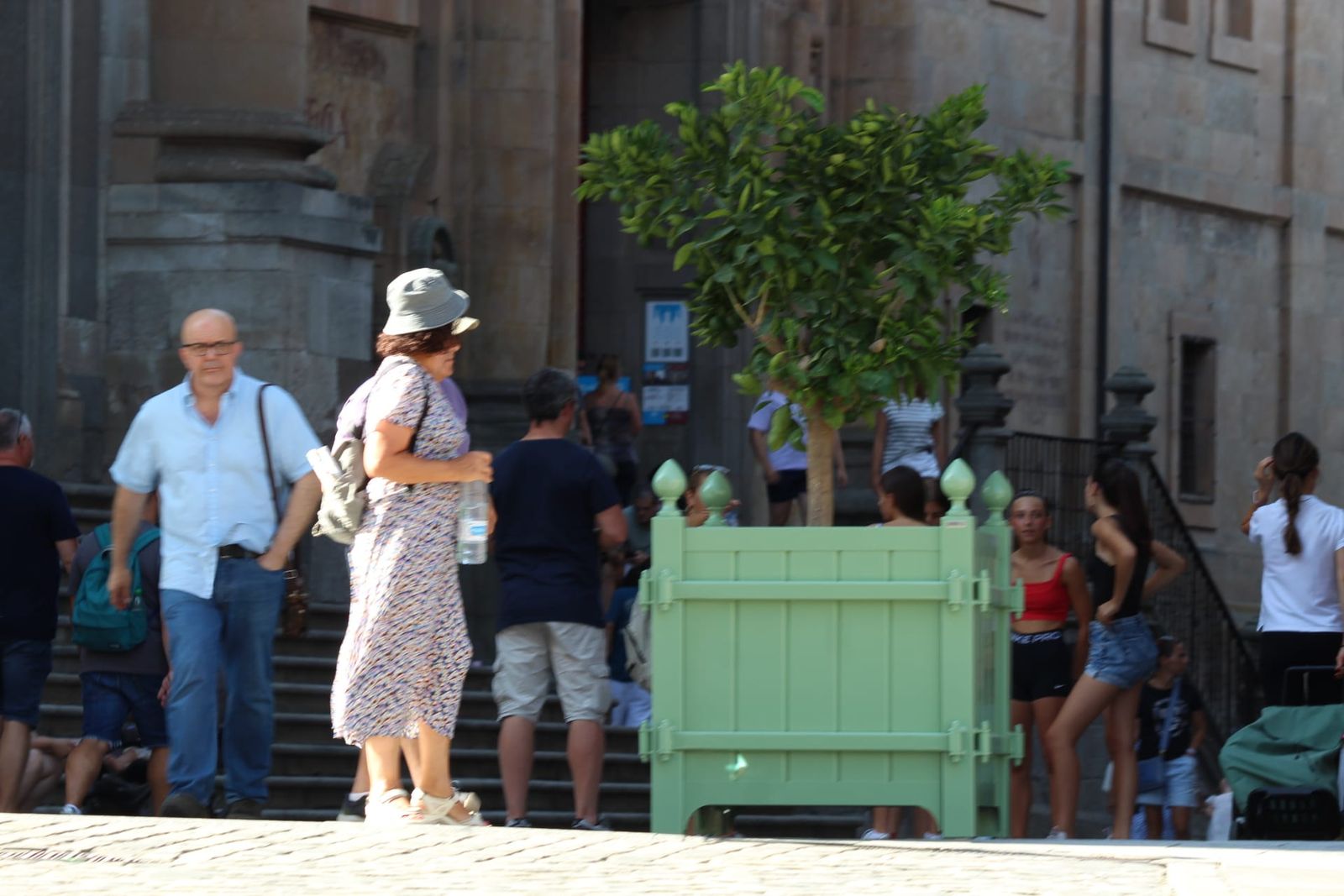 whatsapp-image-2024-08-27-at-17-49-07-5