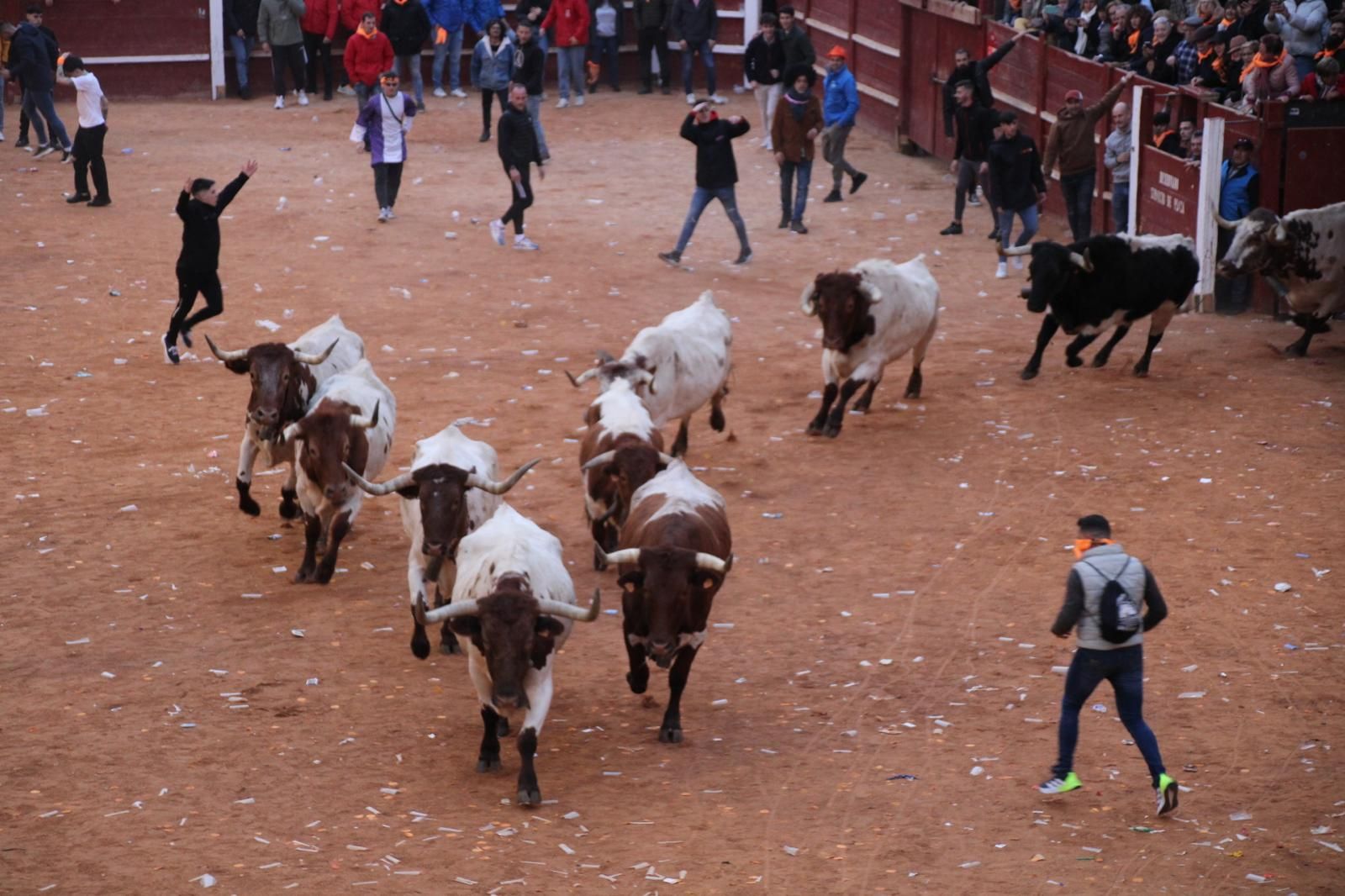 encierro-mansos-carnaval-del-toro-6