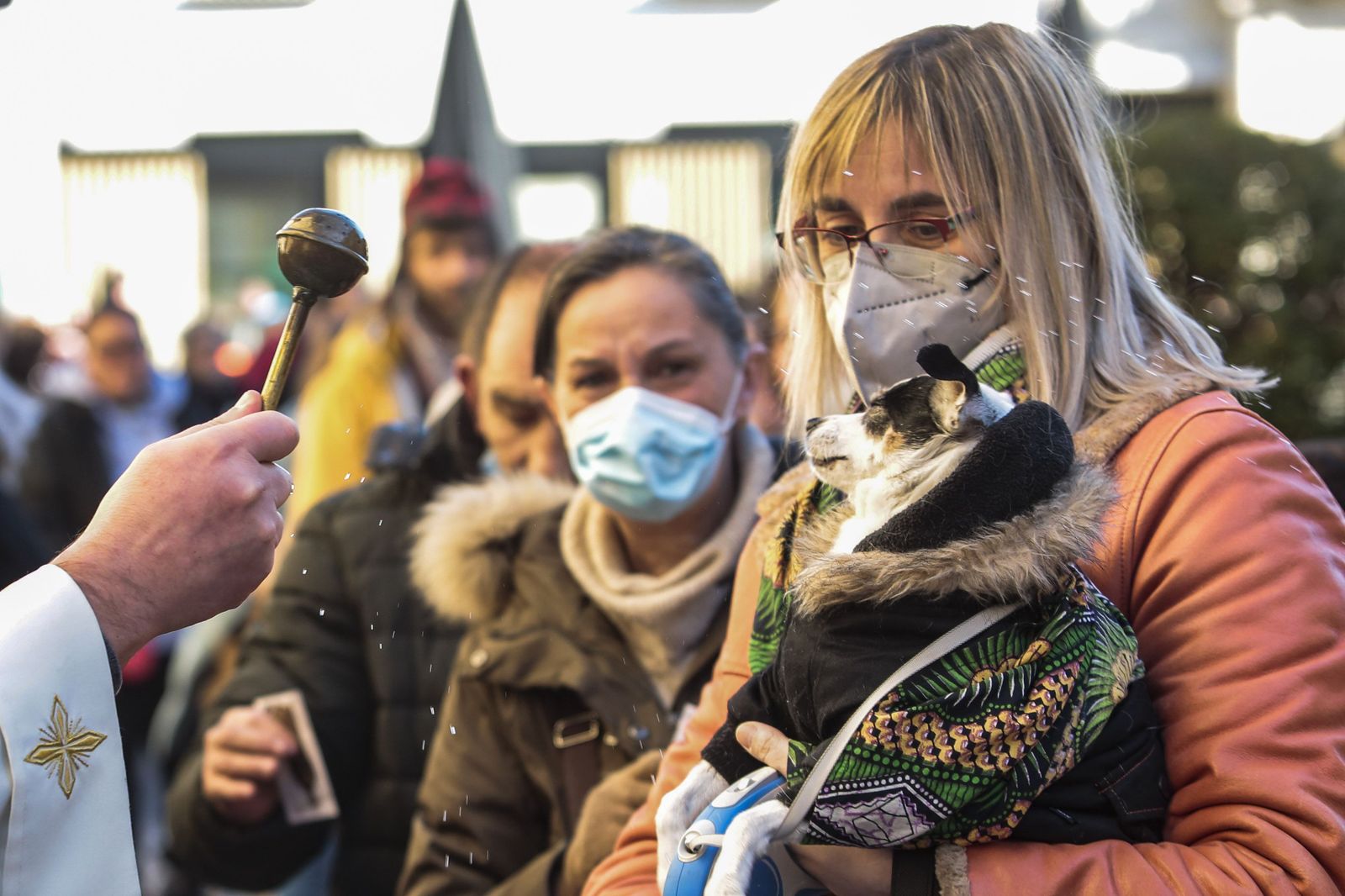 Bendición de un perro en San Antón   Campillo (Agencia ICAL) (4)